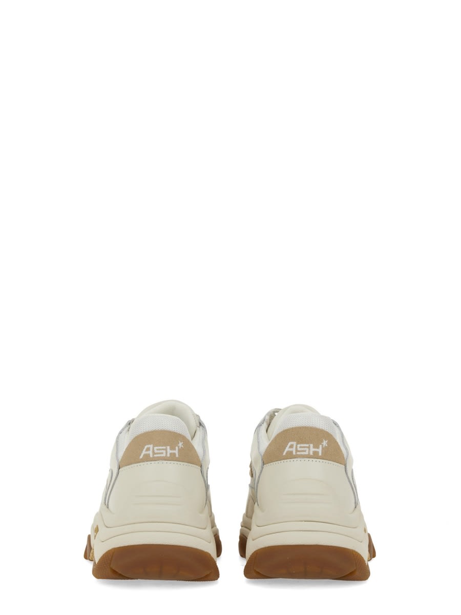 Shop Ash Sneaker Addict In Beige