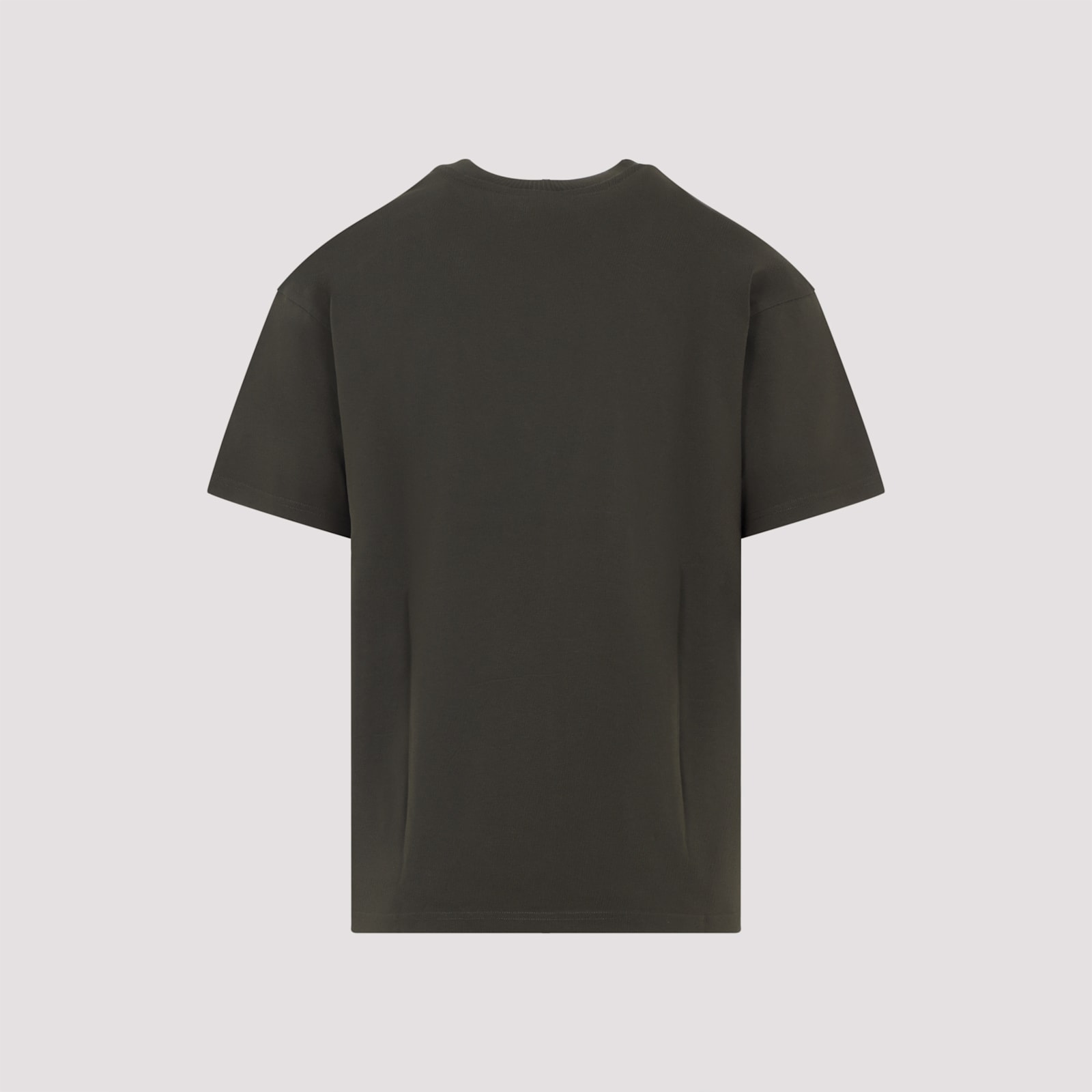 Givenchy Crew Neck Short Sleeves T-shirt In Brown