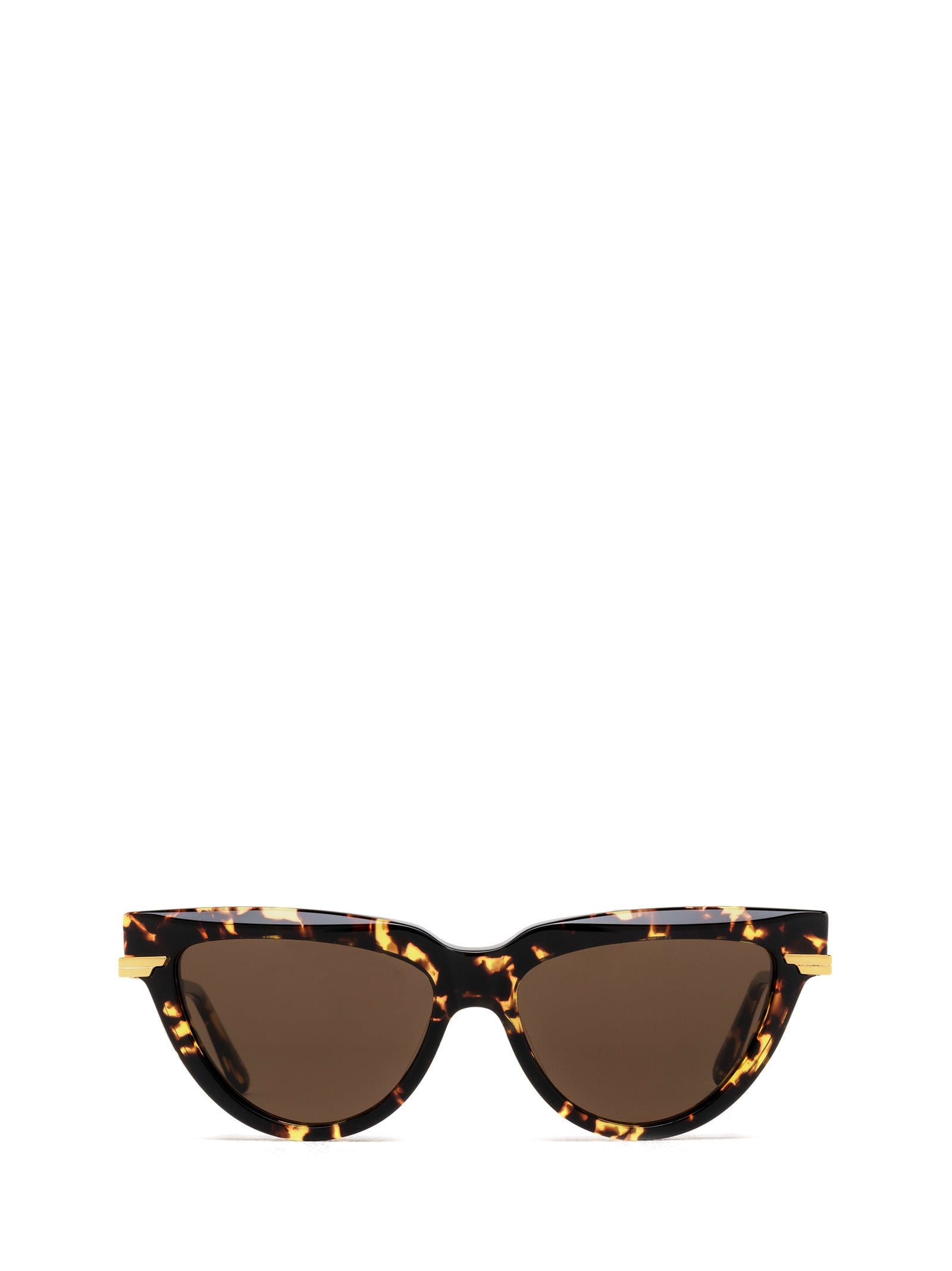 Bv1265s Havana Sunglasses