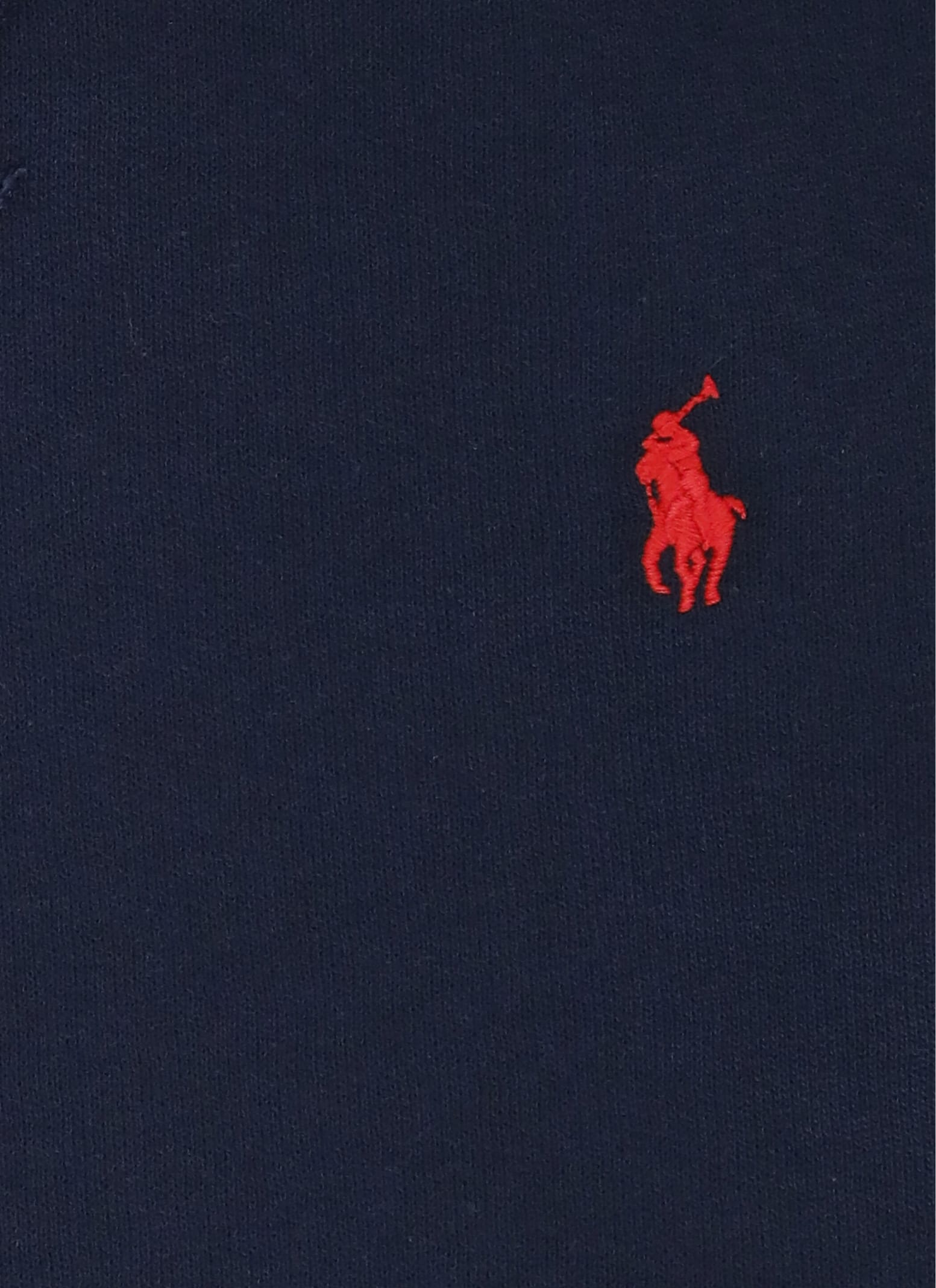 POLO RALPH LAUREN EMBROIDERED PONY HOODIE