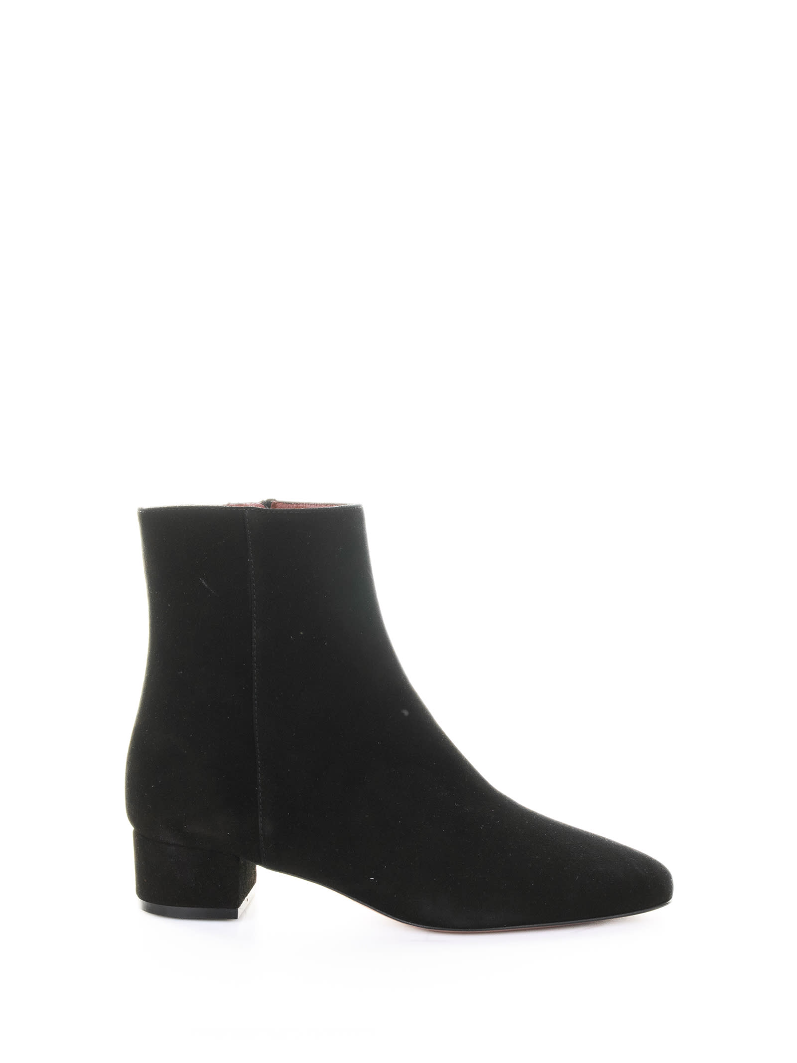 Roberto Festa Suede Zipped Ankle Boots In Black