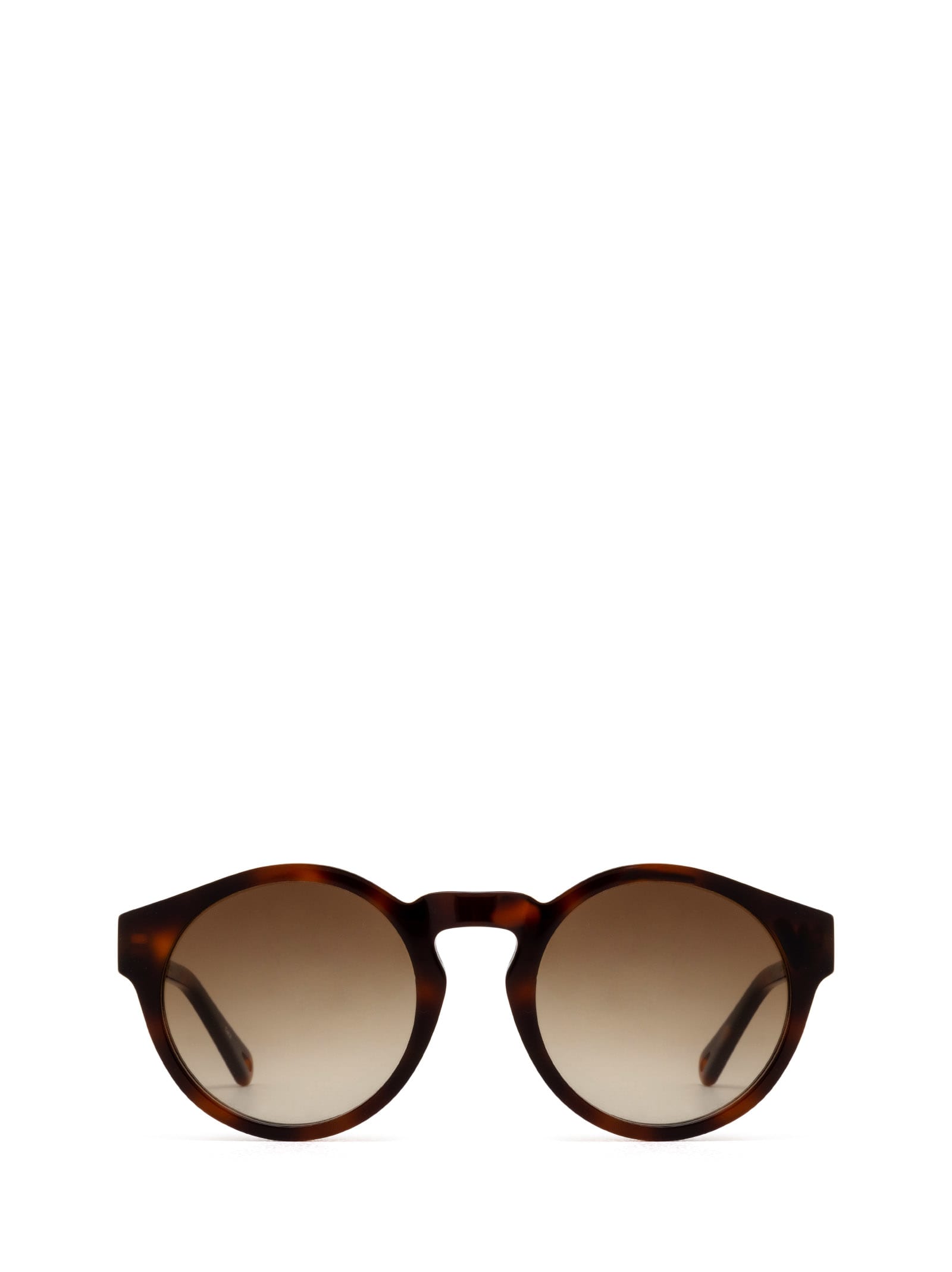 Ch0158s Havana Sunglasses