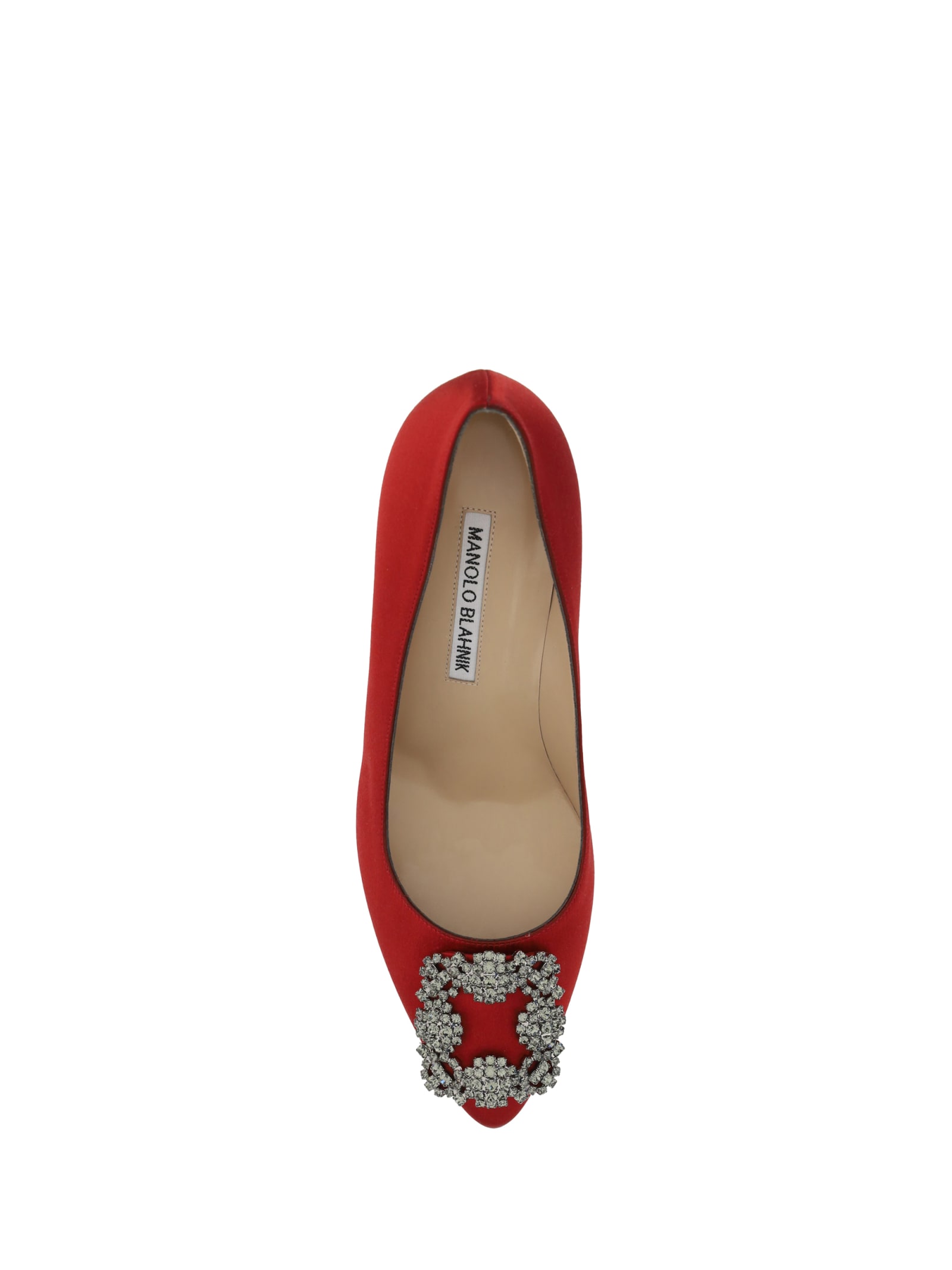 Shop Manolo Blahnik Hangisi Pumps In Dred