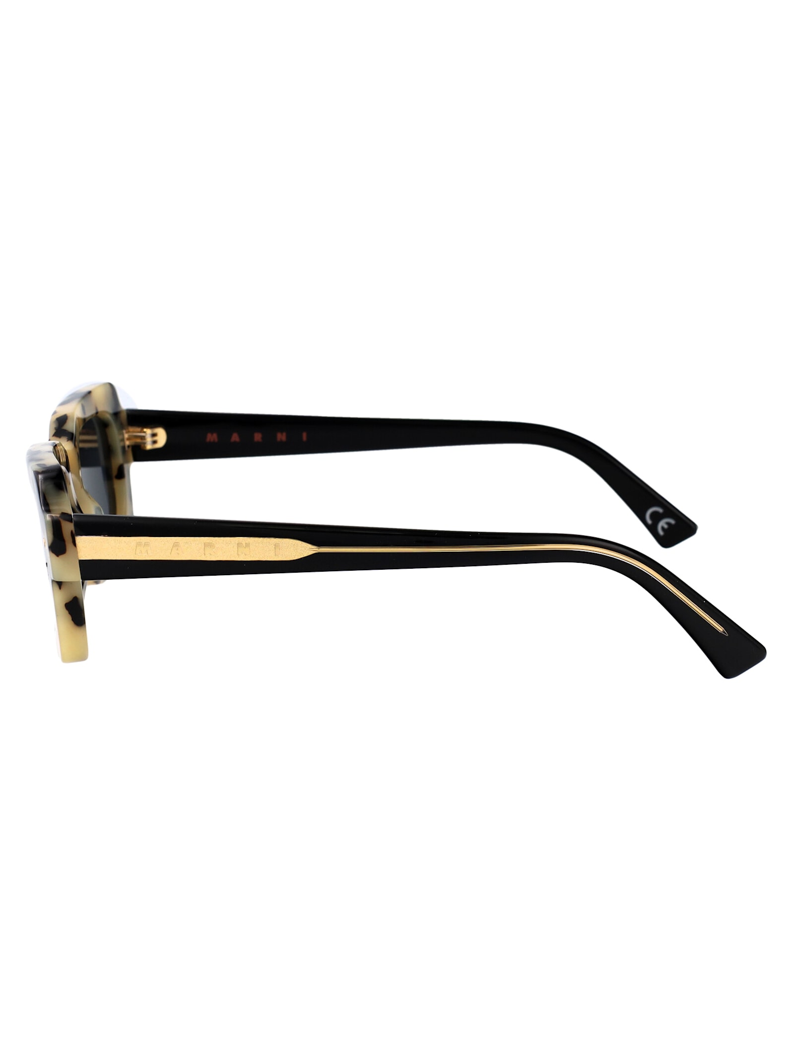 Marni Eyewear Lake Vostok Sunglasses In Puma