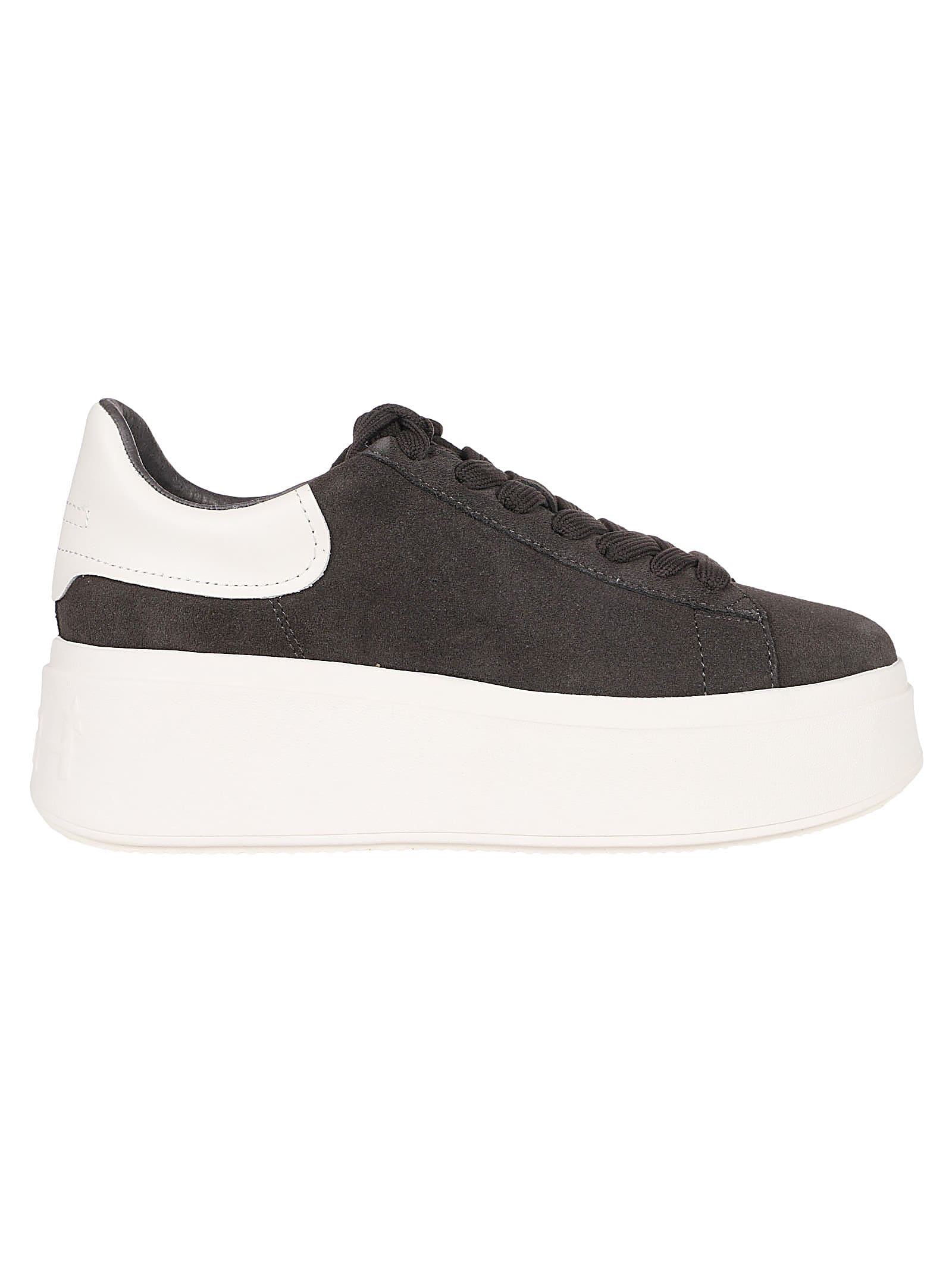 Shop Ash Moby Sneakers In Bistro/gardenia