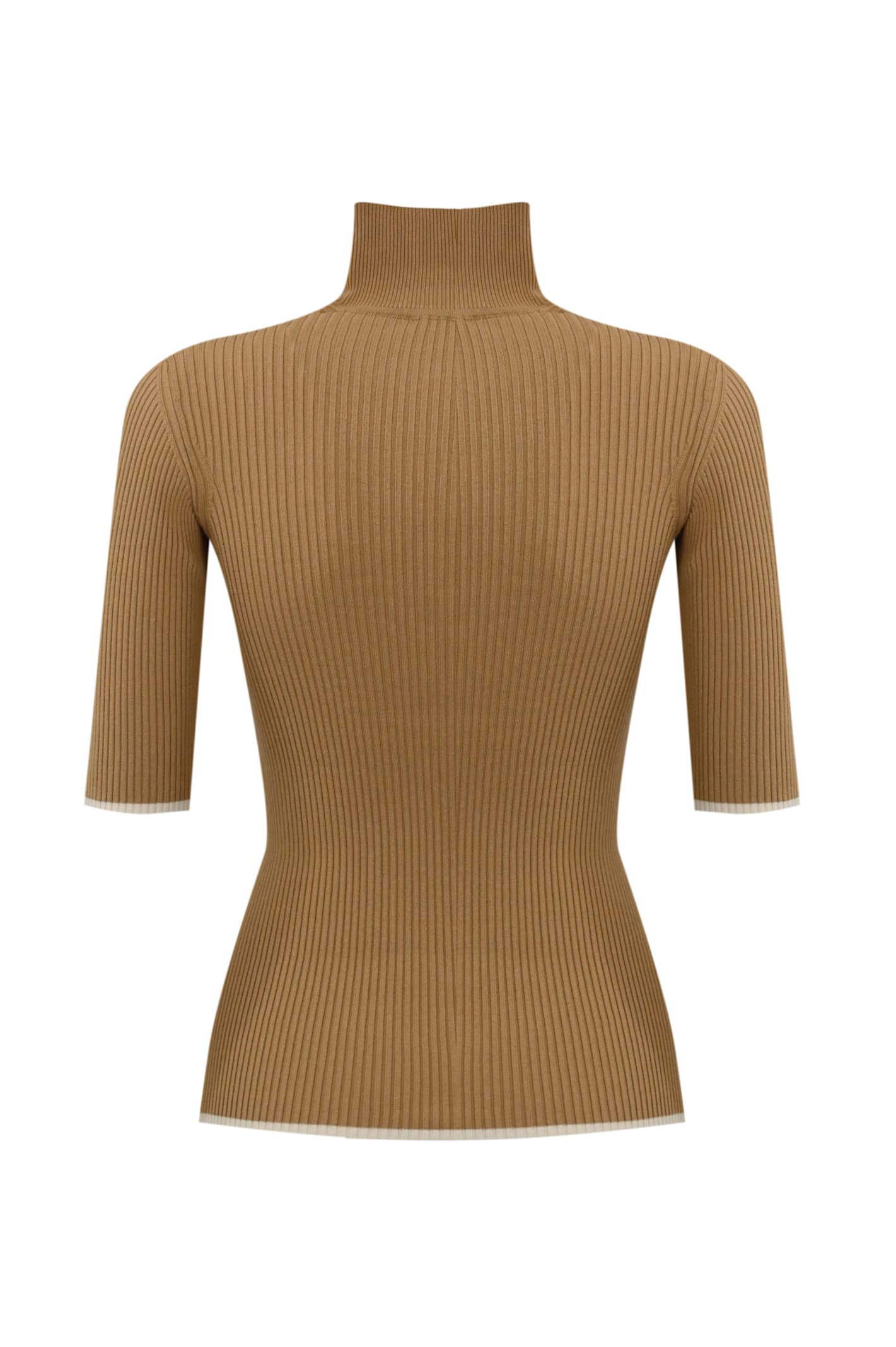 Shop Elisabetta Franchi Viscose Knit Turtleneck With College Logo In Camel/burro