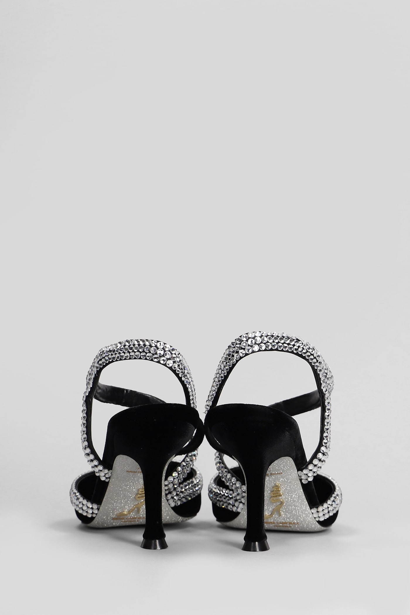 Shop René Caovilla Lidia Pumps In Black Velvet