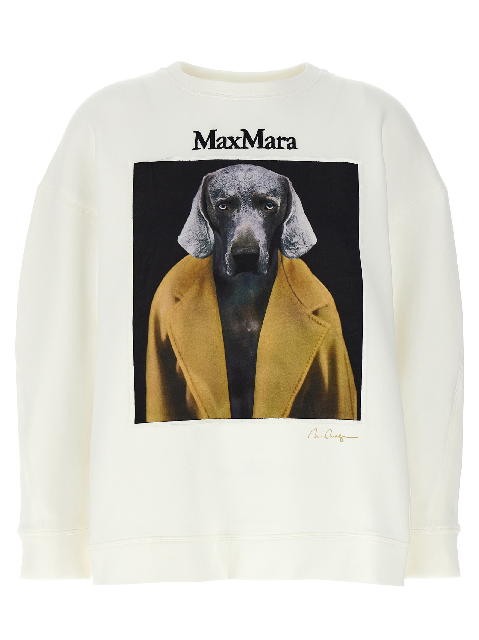 Shop Max Mara Bacco Sweatshirt In White