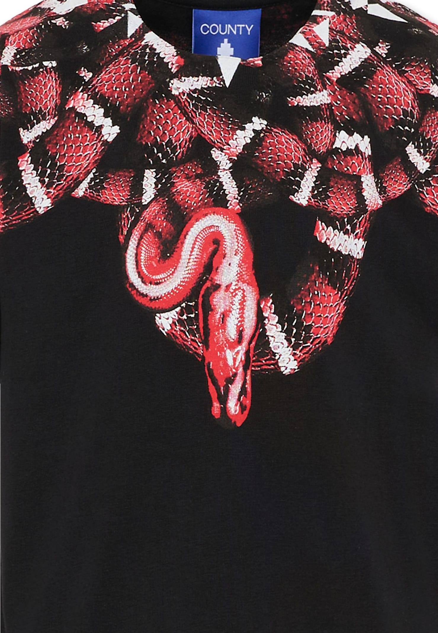 Marcelo Burlon County Of Milan Black T-shirt For Boy With Snake Print In Black