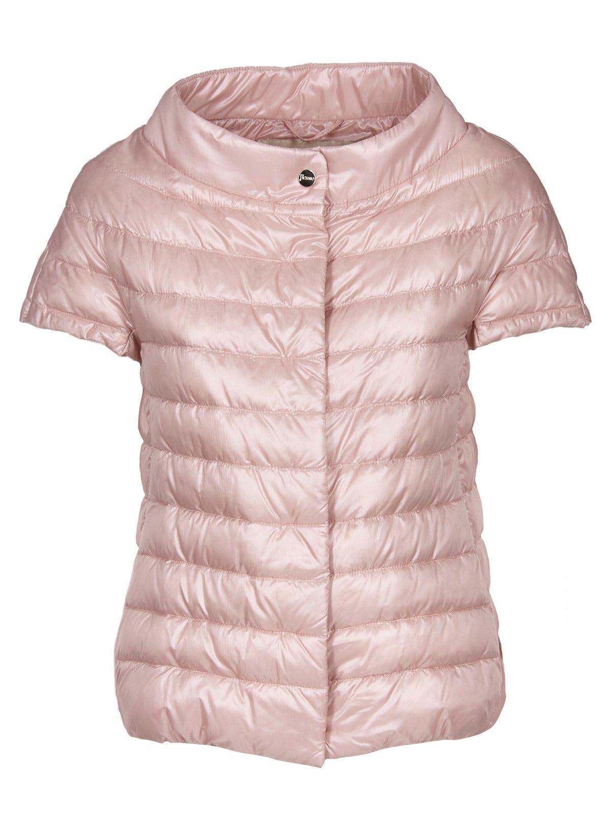Shop Herno Greta Short-sleeved Puffer Jacket  In Pink
