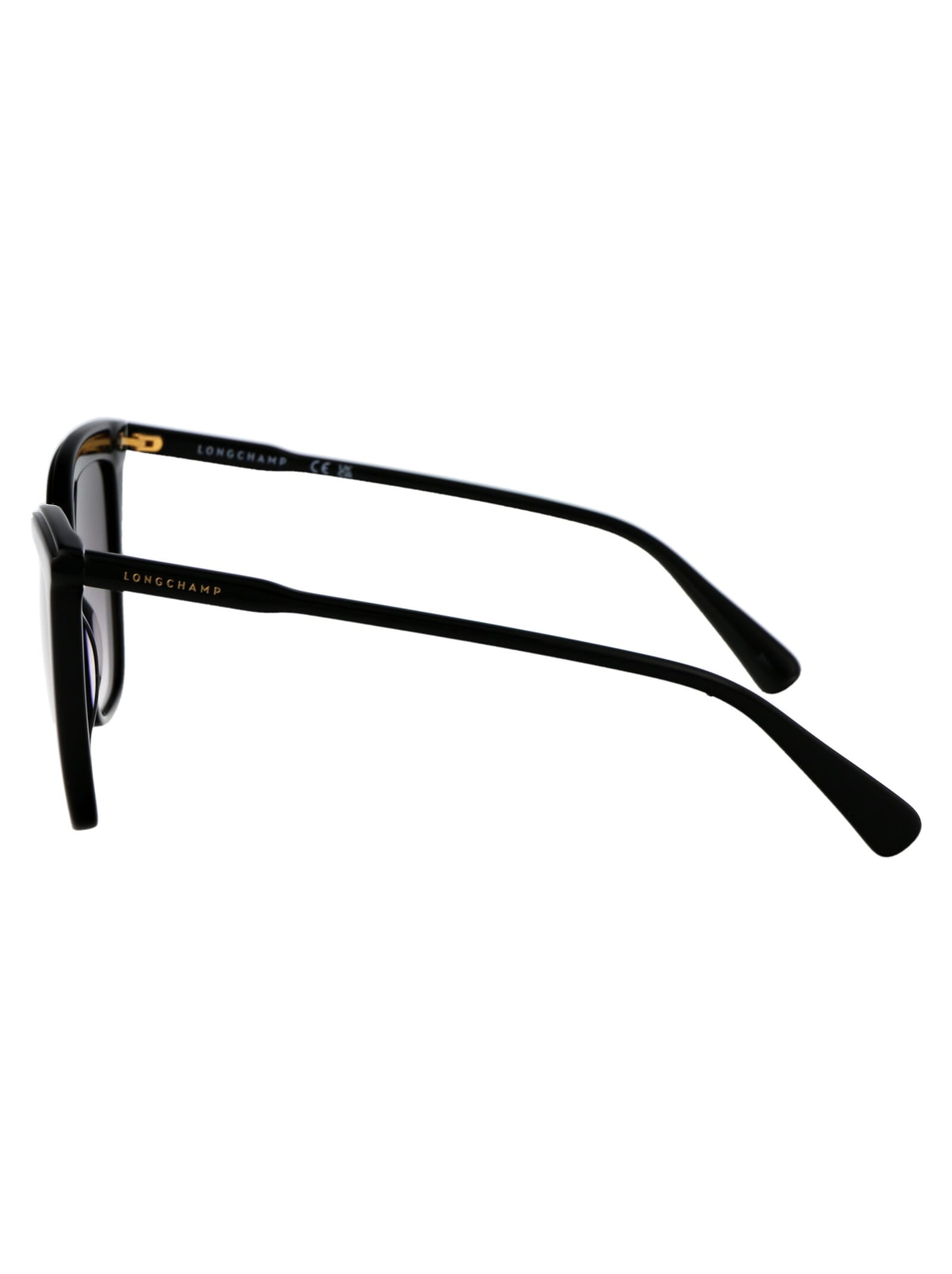 Shop Longchamp Lo729s Sunglasses In 001 Black