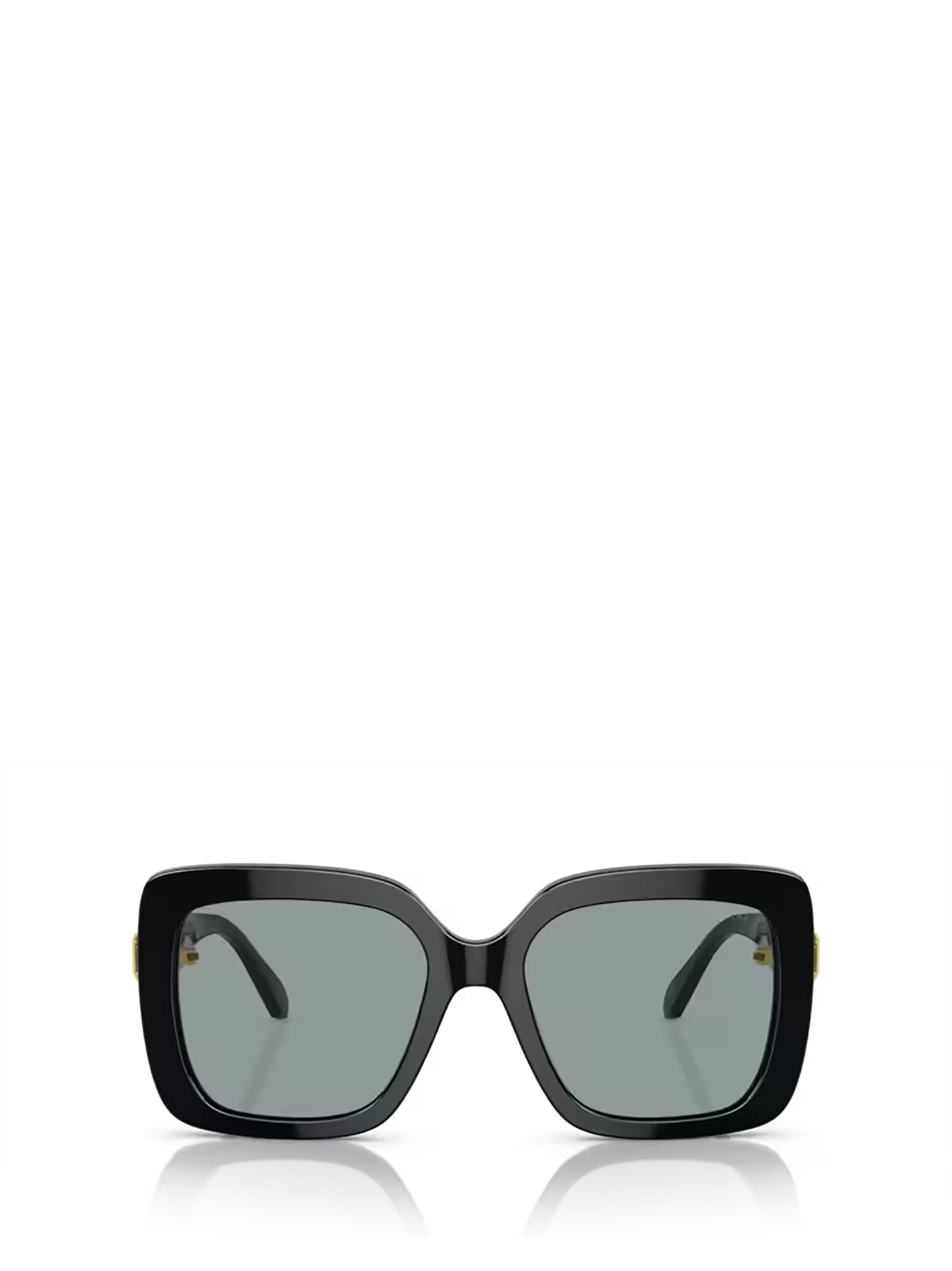 Sk6001 Black Sunglasses