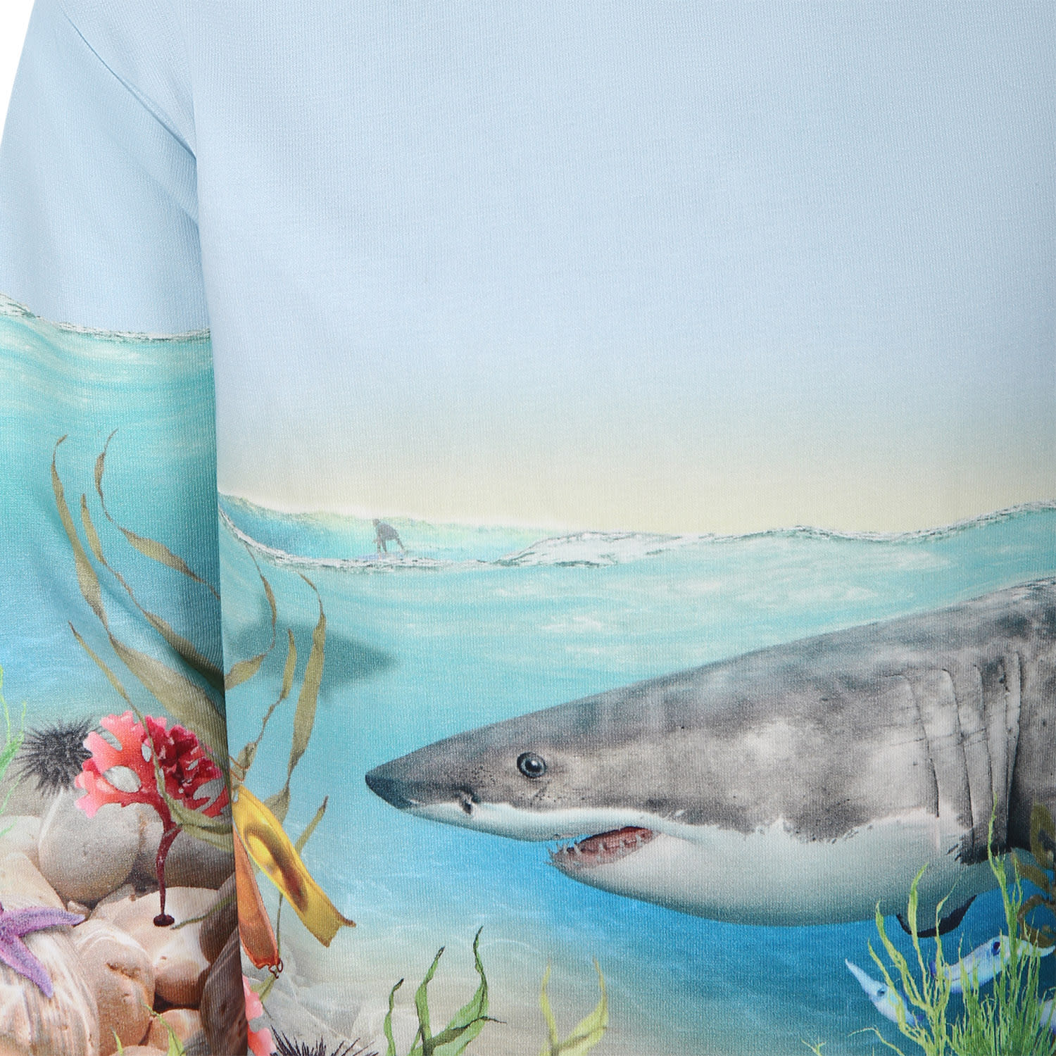 Molo Light Blue Sweatshirt For Boy With Shark Print In Light Blue
