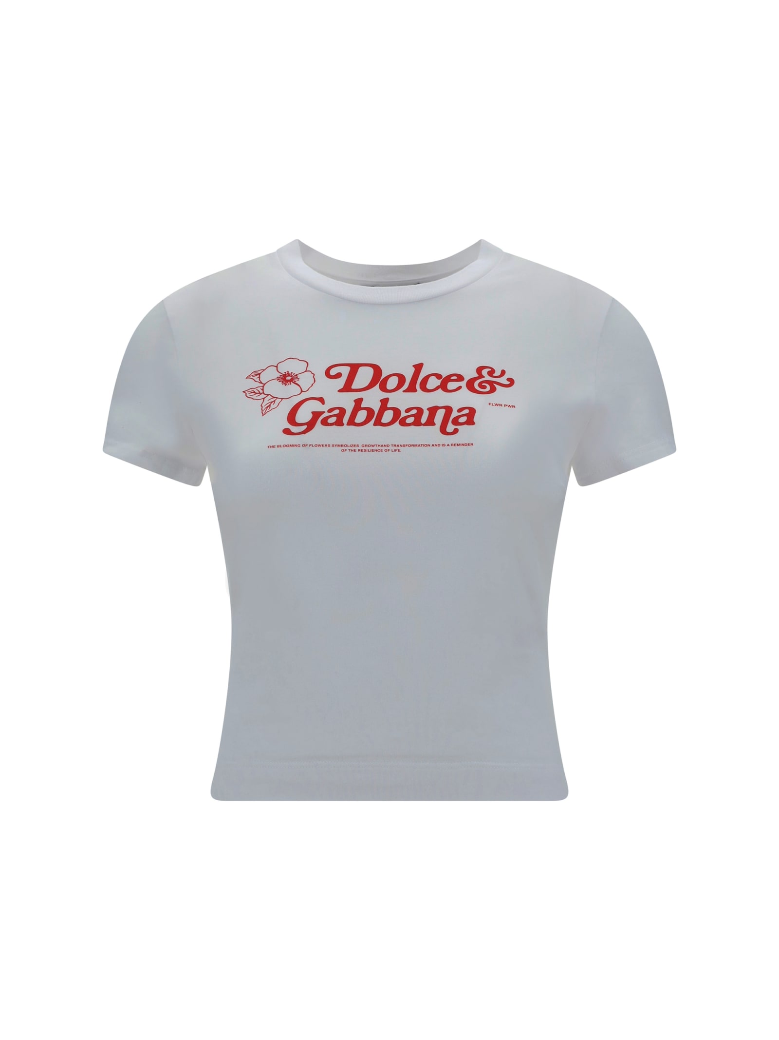 Dolce & Gabbana T-shirt In Bianco Ottico