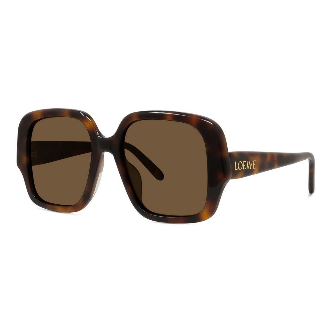 Shop Loewe Sunglasses In Havana/marrone