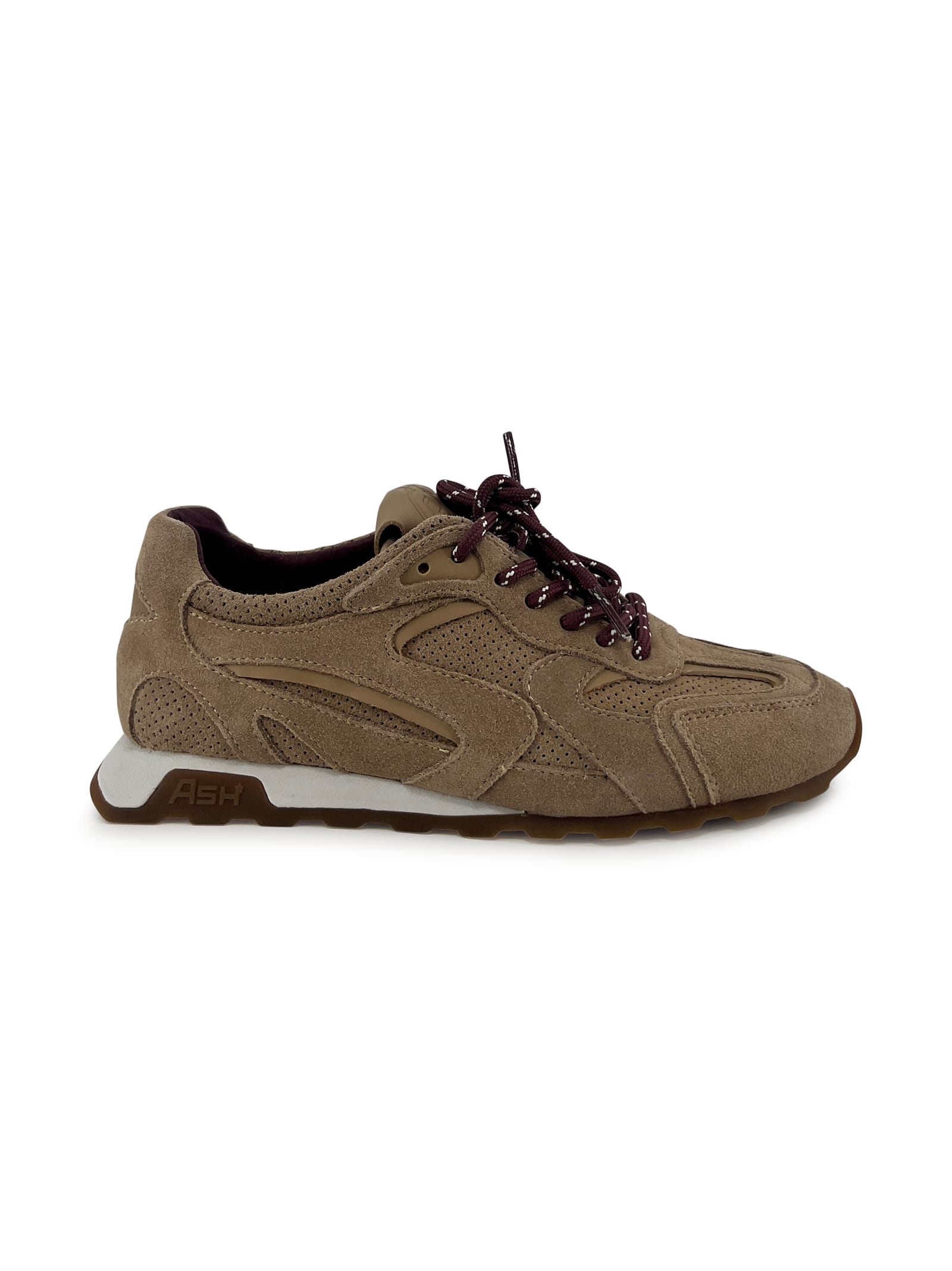 Ash Suede Lace-up Sports Sneakers In Multi