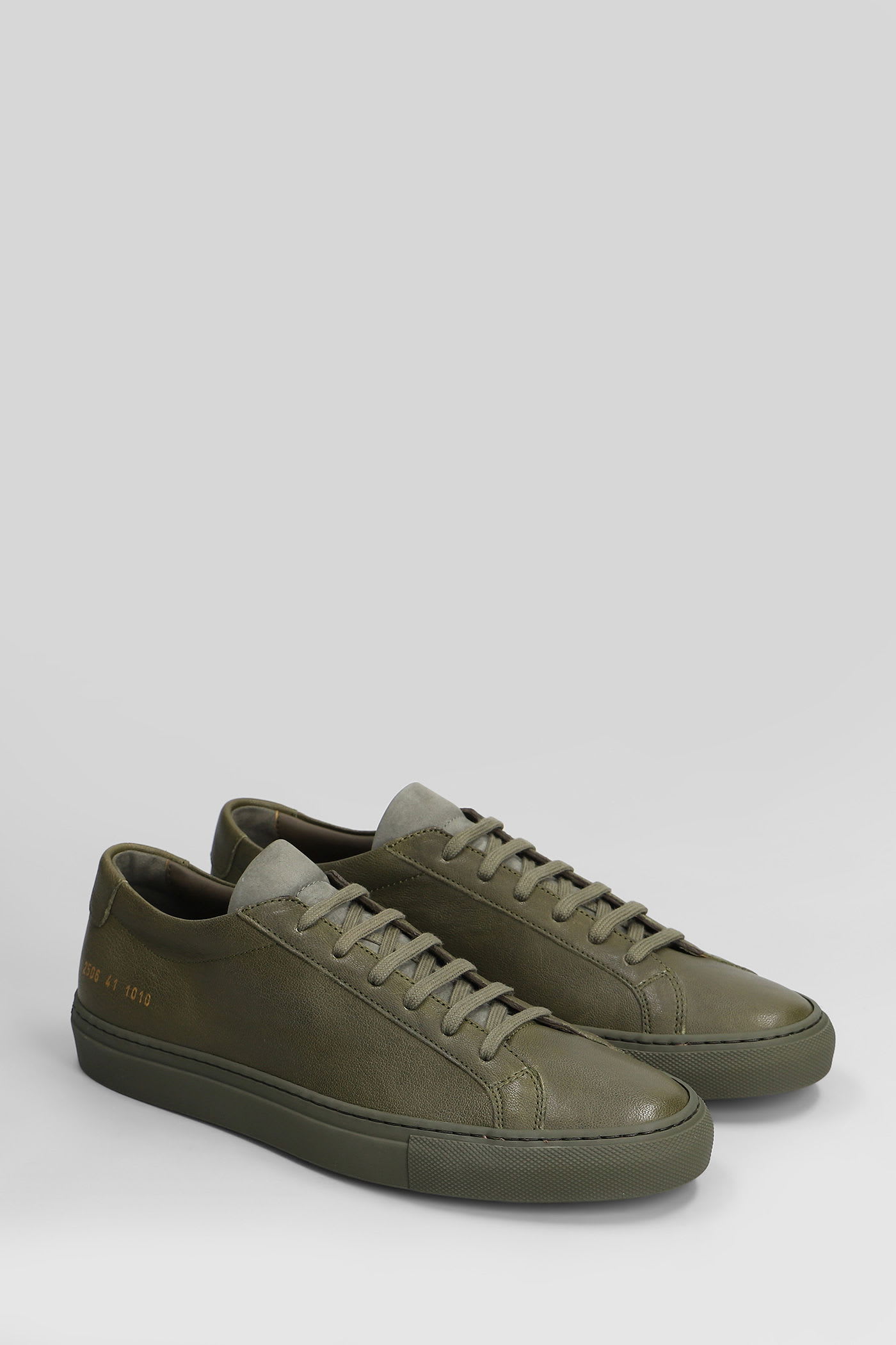 Common Projects Achilles Premium Sneakers In Green Leather In Green
