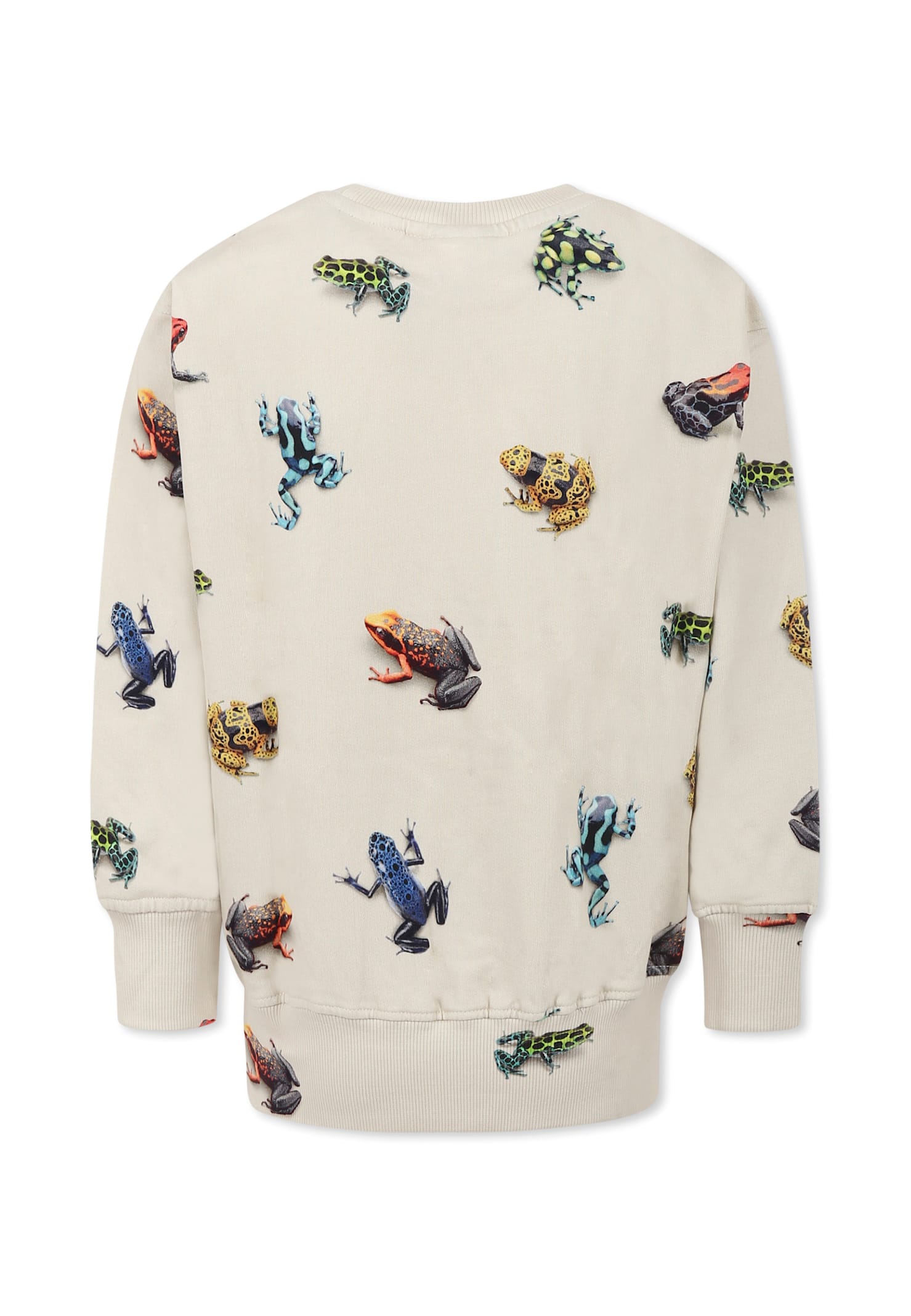Molo Ivory Sweatshirt For Boy With Frog In Ivory