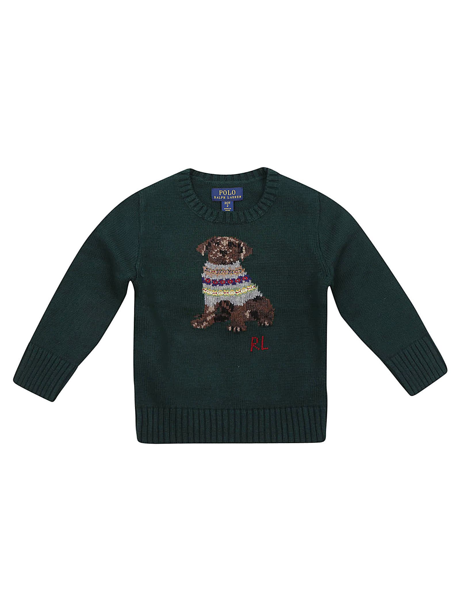 Ralph Lauren Kids' Ls Cn Dog-sweater-pullover In Hunt Club Green