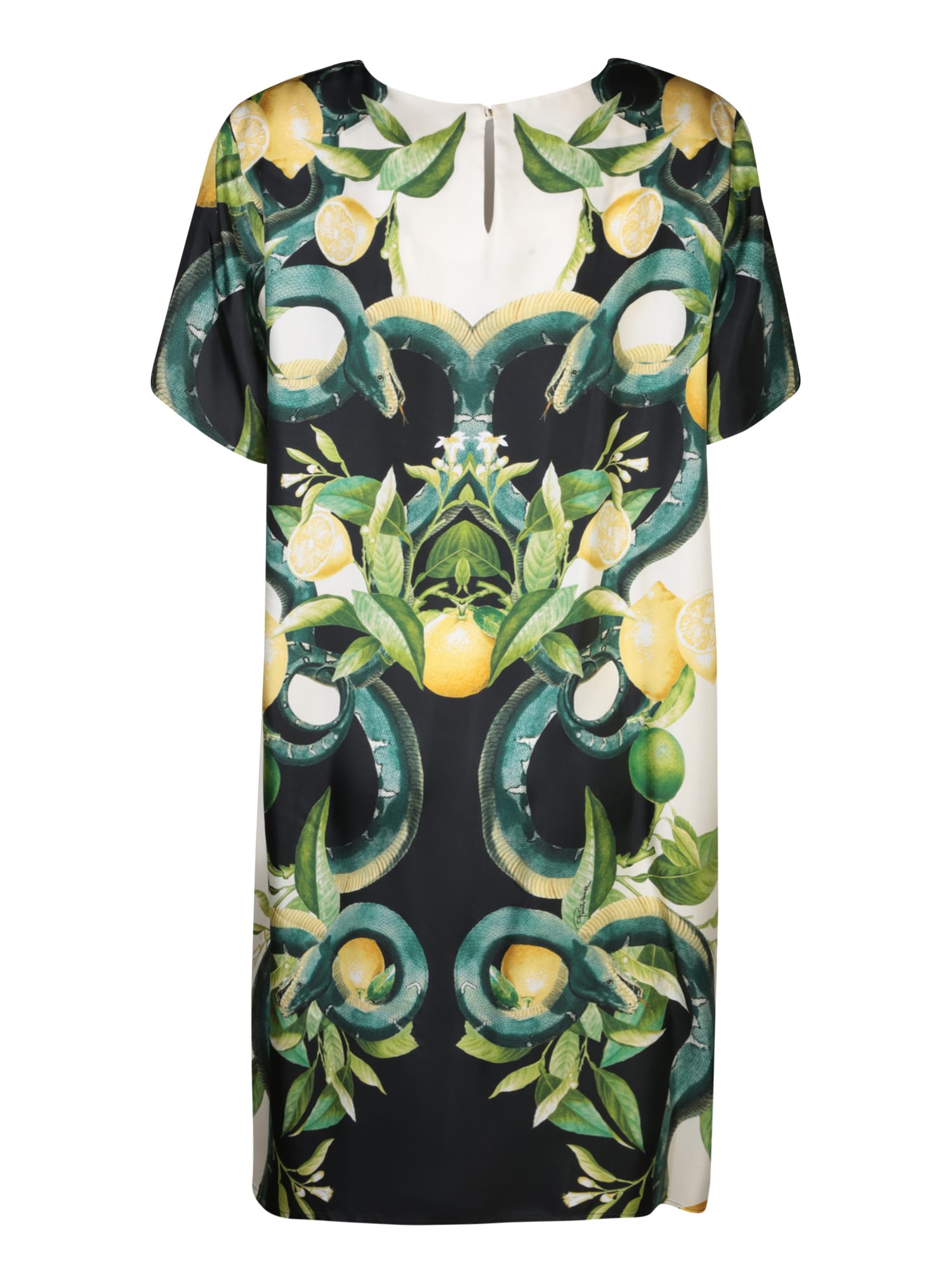 Shop Roberto Cavalli Lemon Print Black/multicolor Dress