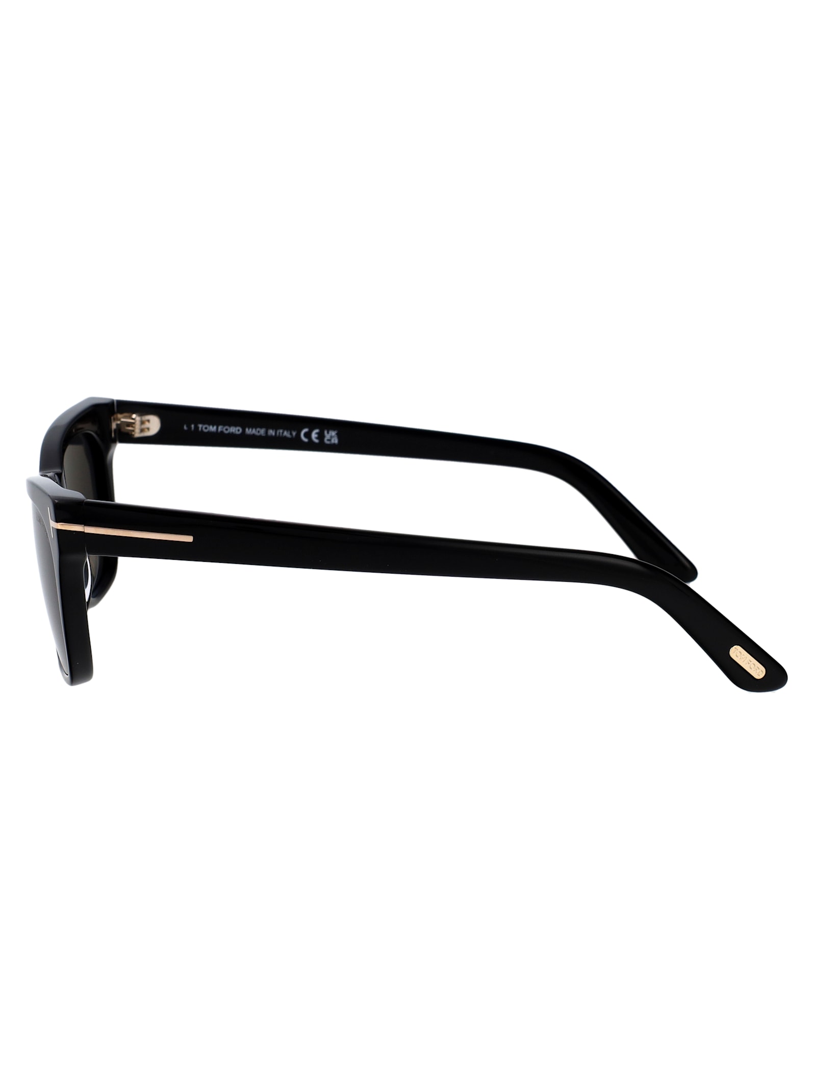 Tom Ford Penn-02 Sunglasses In Black