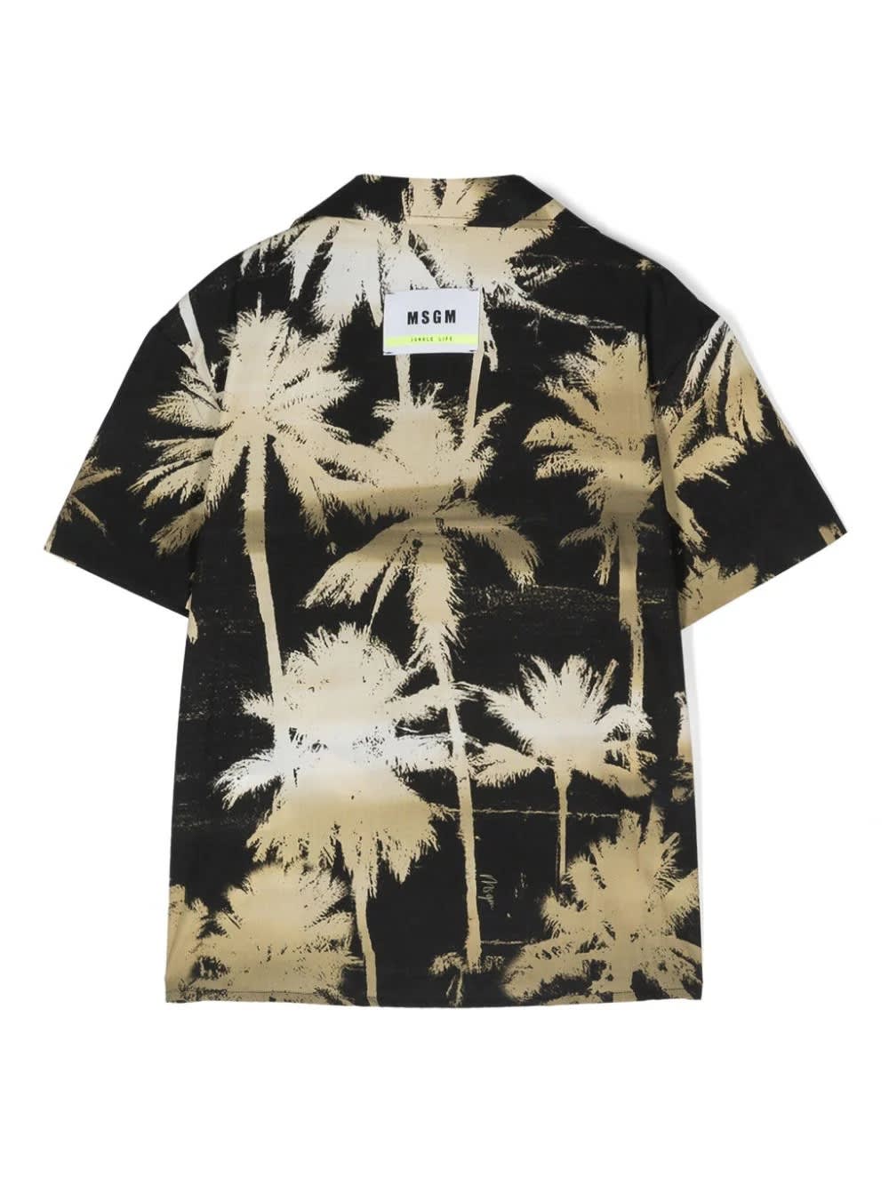 Shop Msgm Black Bowling Shirt With Palm Print In Nero