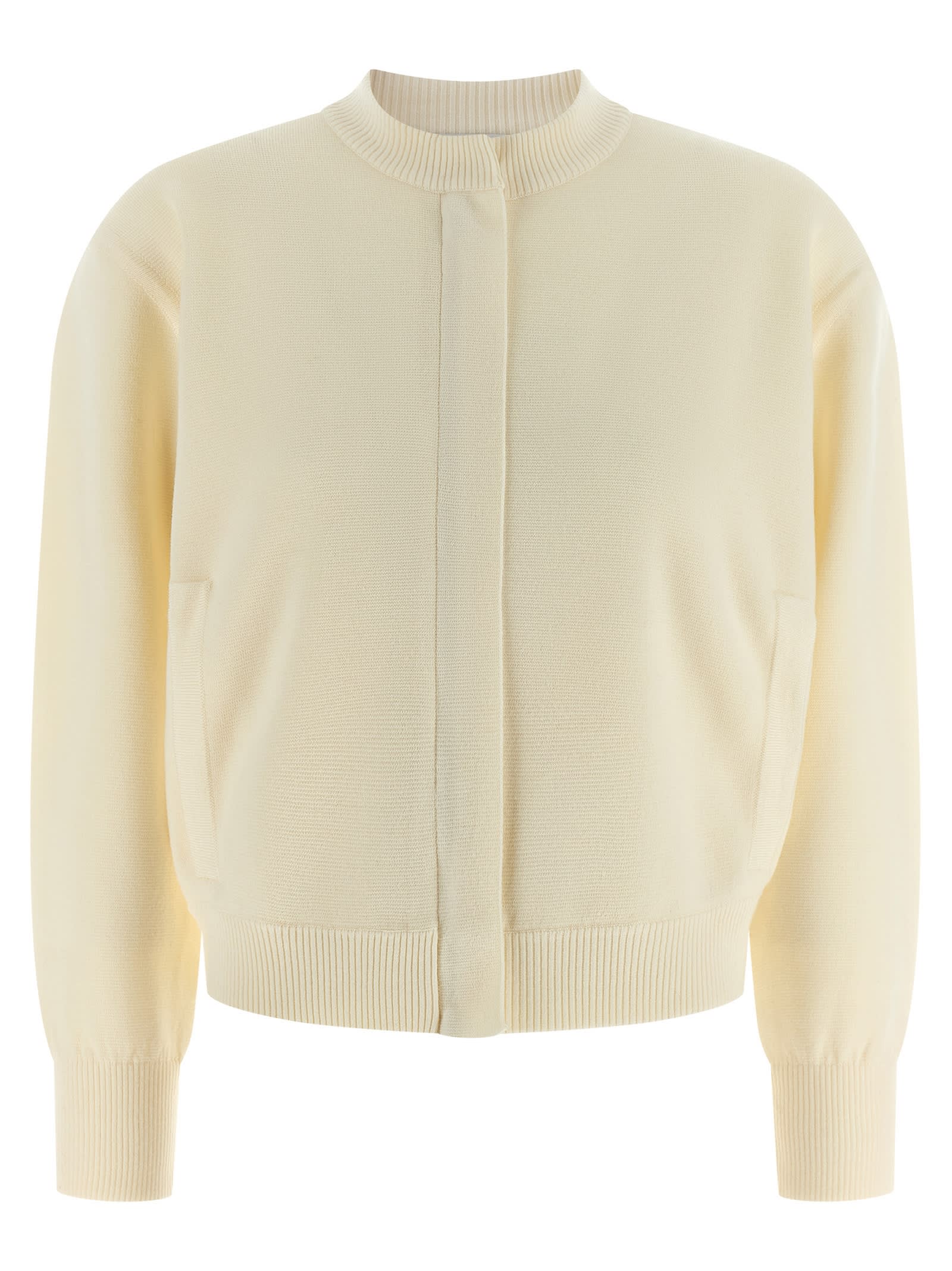 Max Mara Pelago Cardigan In Neutral