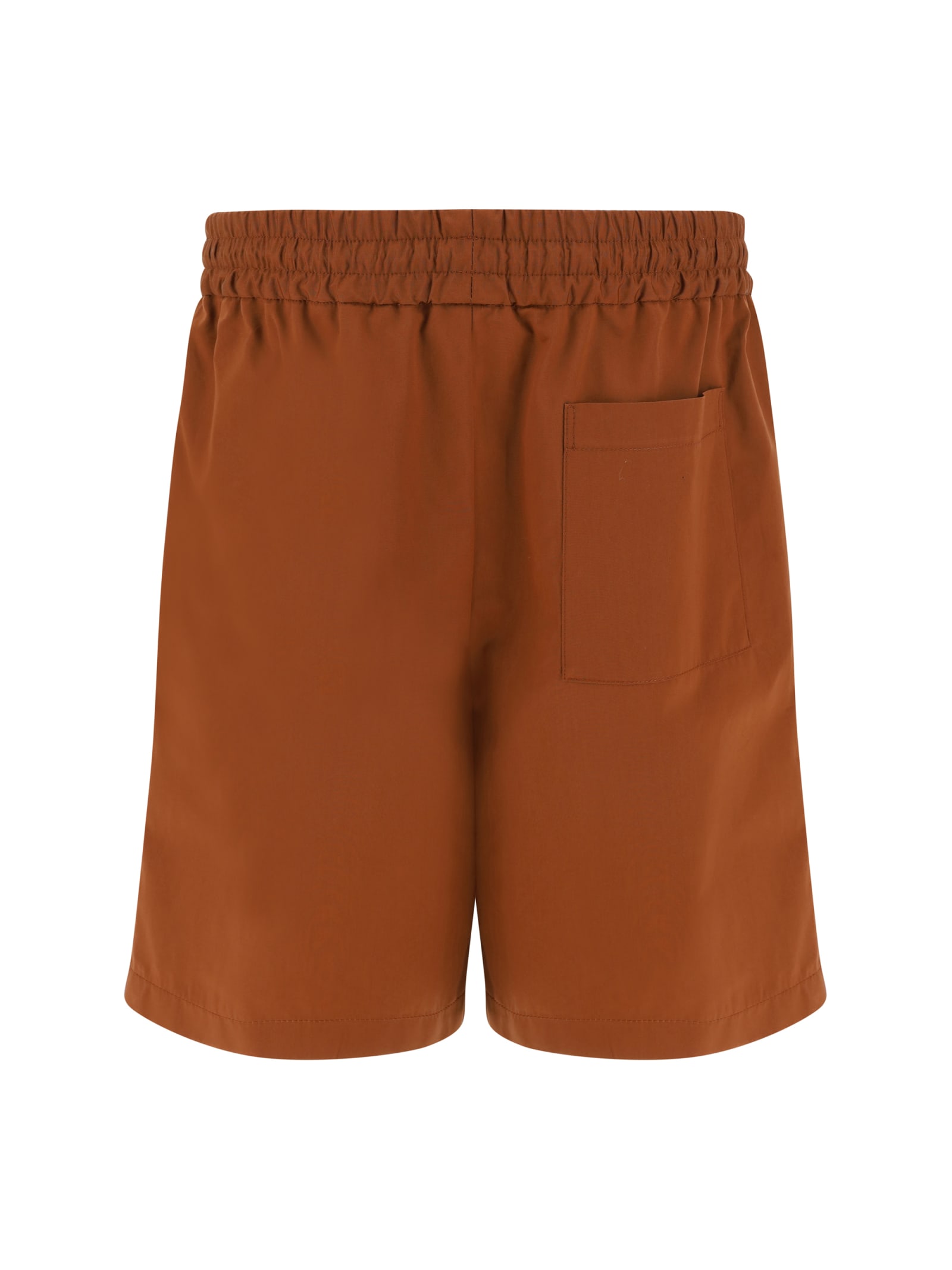 Shop Lardini Shorts In Marrone