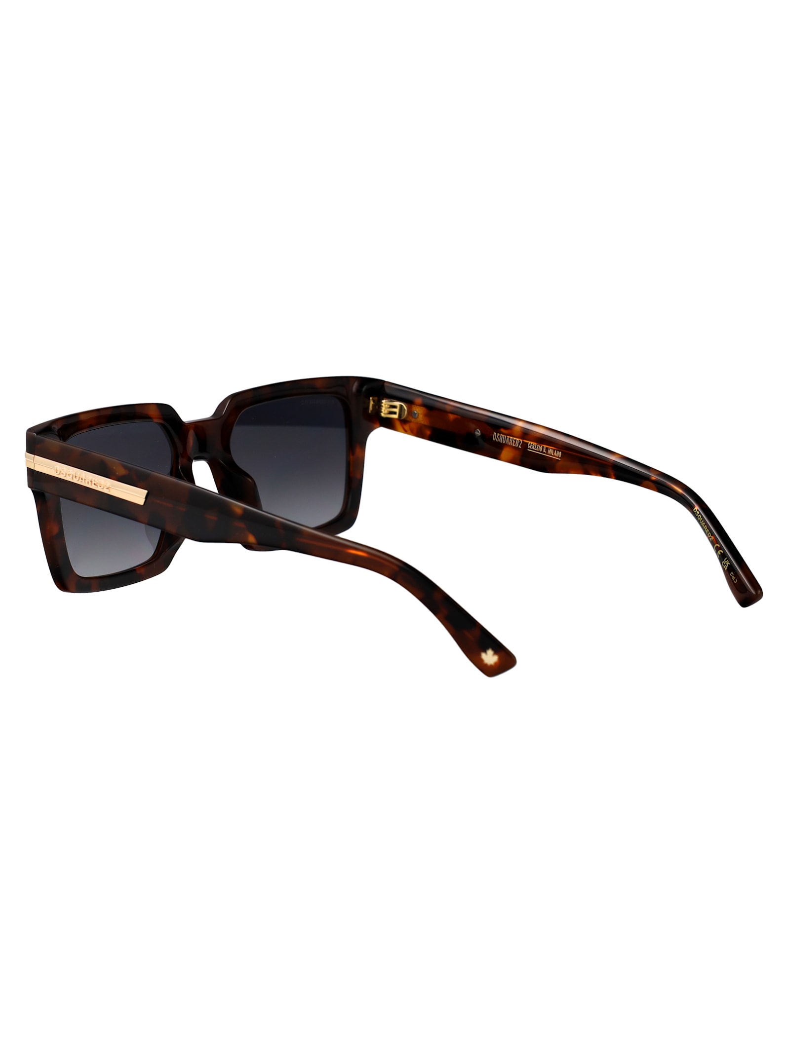 Dsquared2 D2 0161/g/s Sunglasses In Brown
