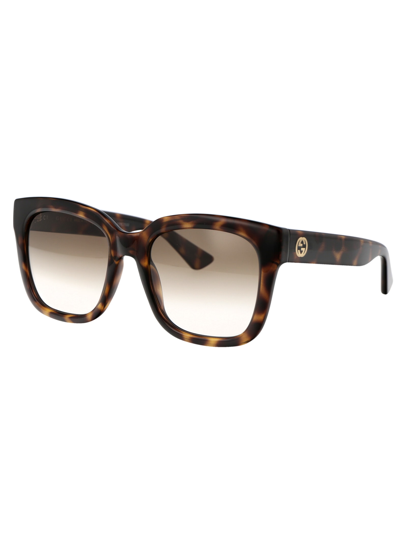 Gucci Havana Havana Brown Acetate Sunglasses In Brown