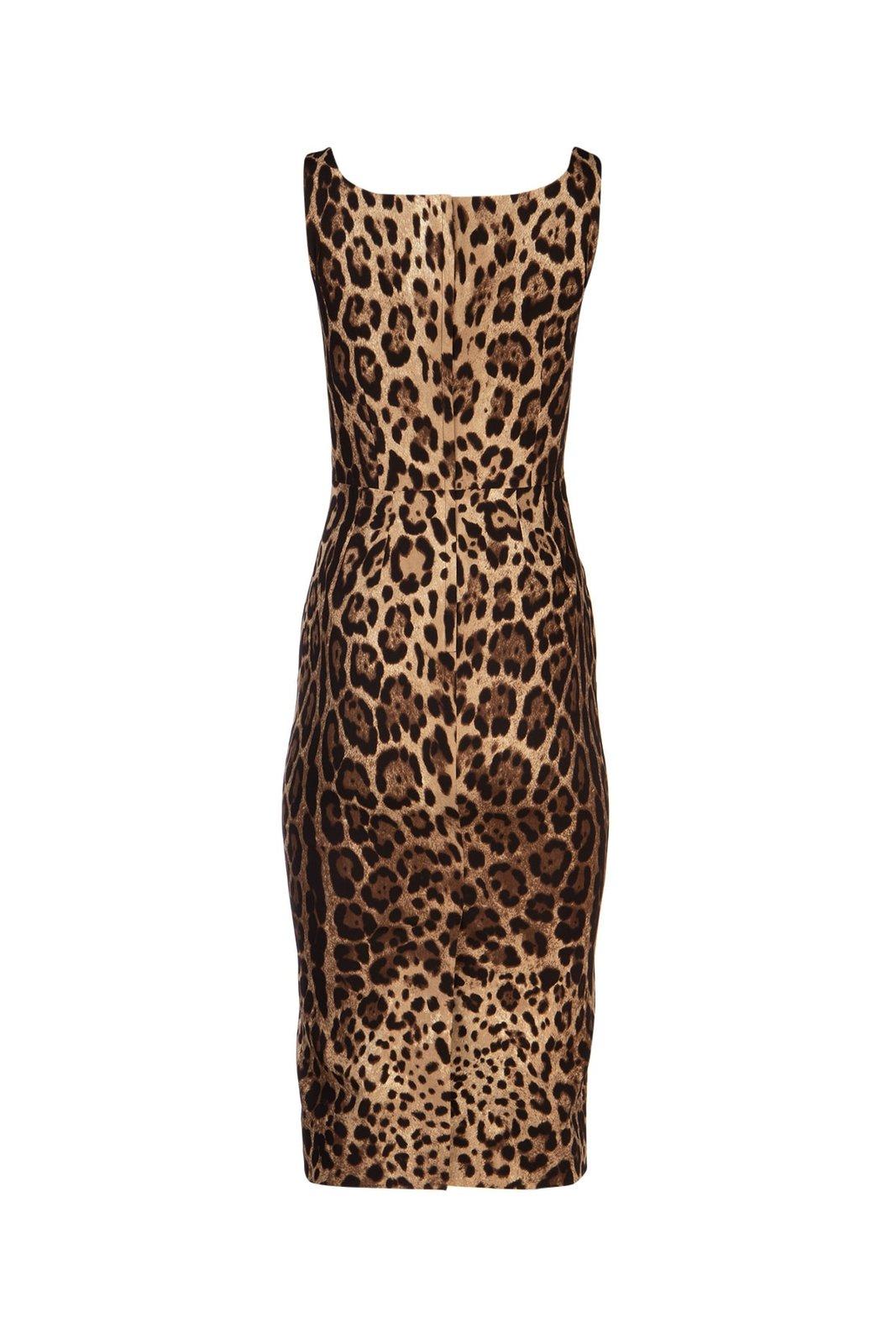 Shop Dolce & Gabbana Leopard Print Fitted Midi Dress