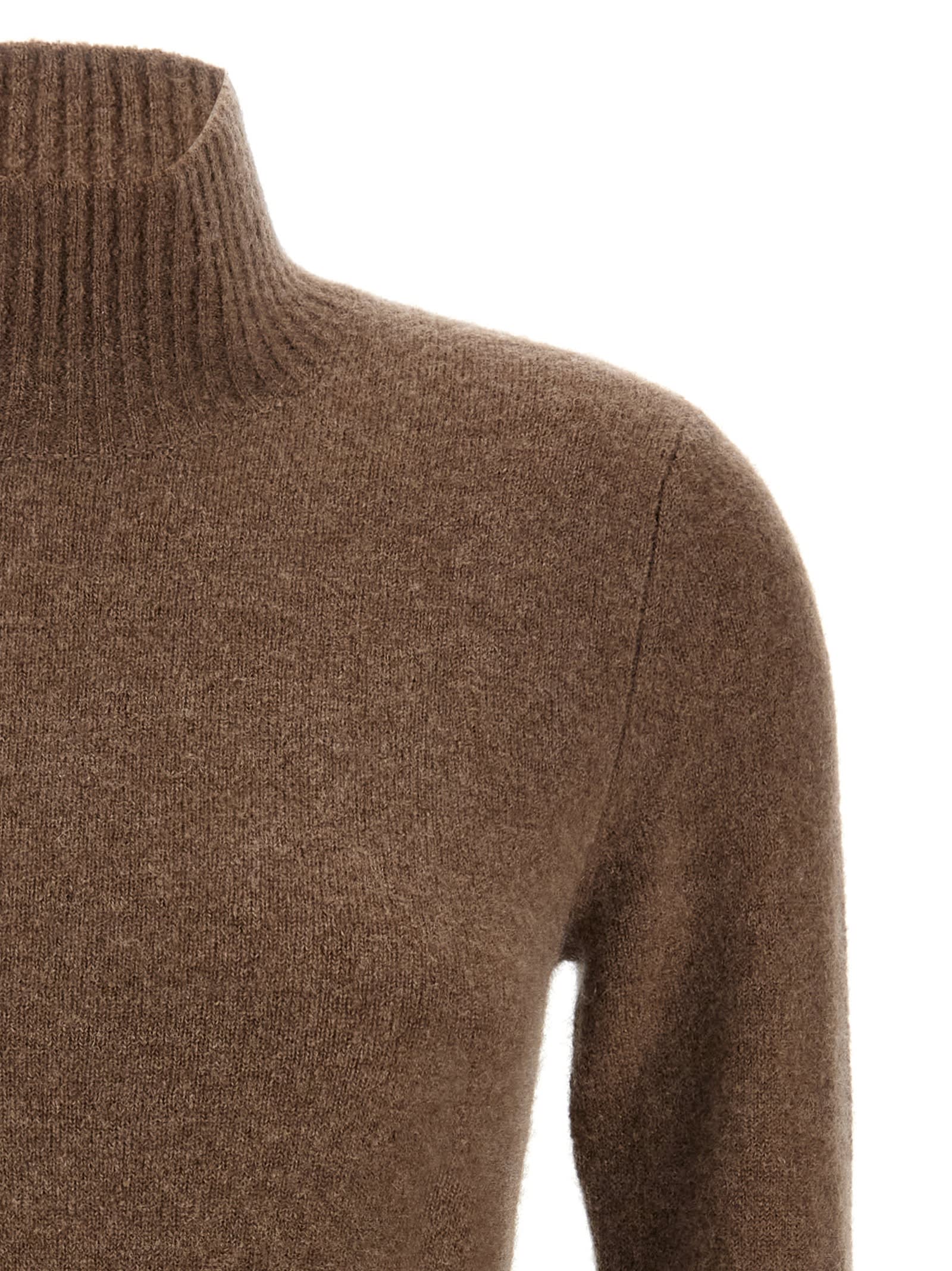 Max Mara Edison Turtleneck Mini Dress In Brown
