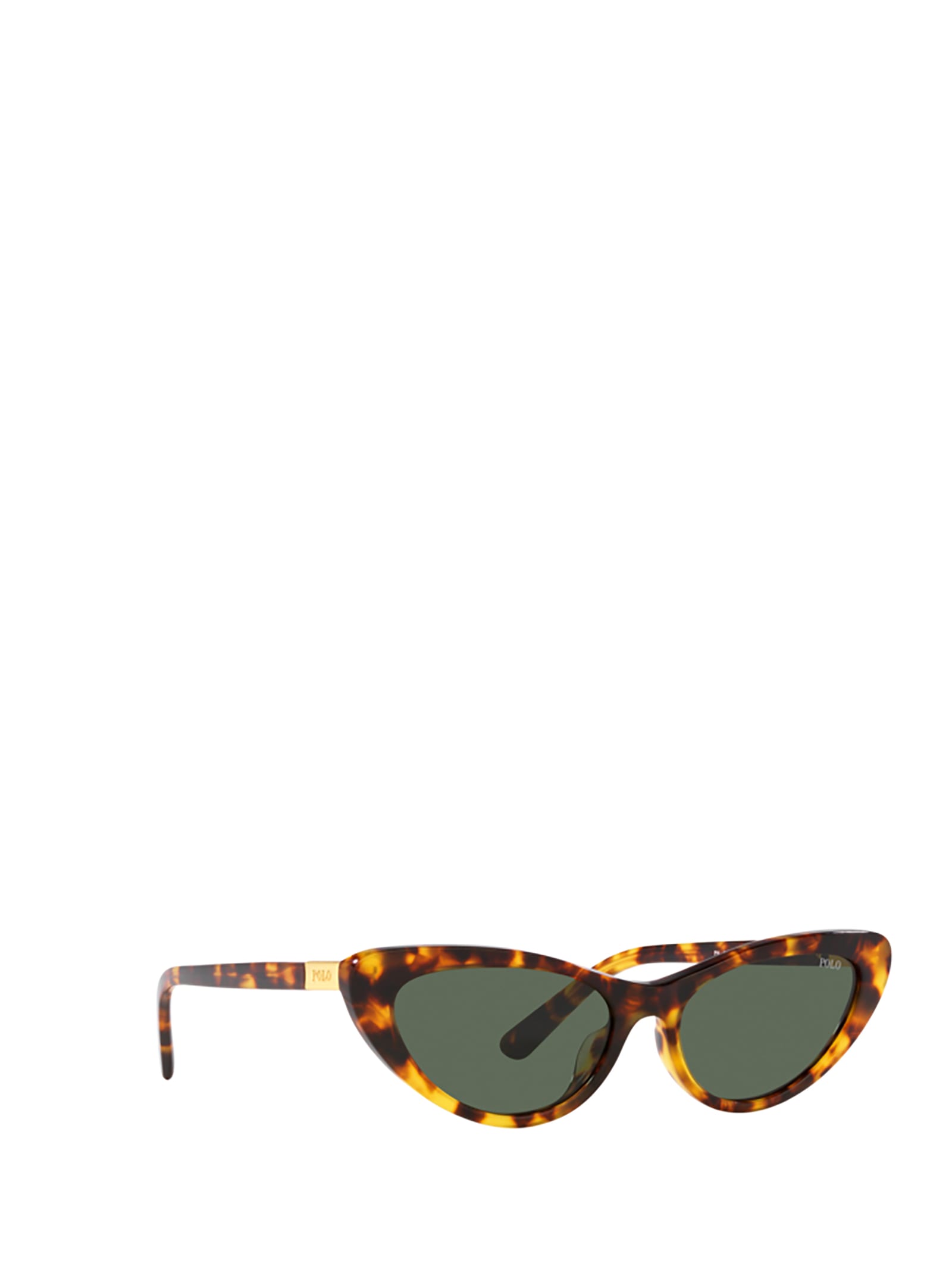 Shop Polo Ralph Lauren Ph4199u Shiny Havana Sunglasses