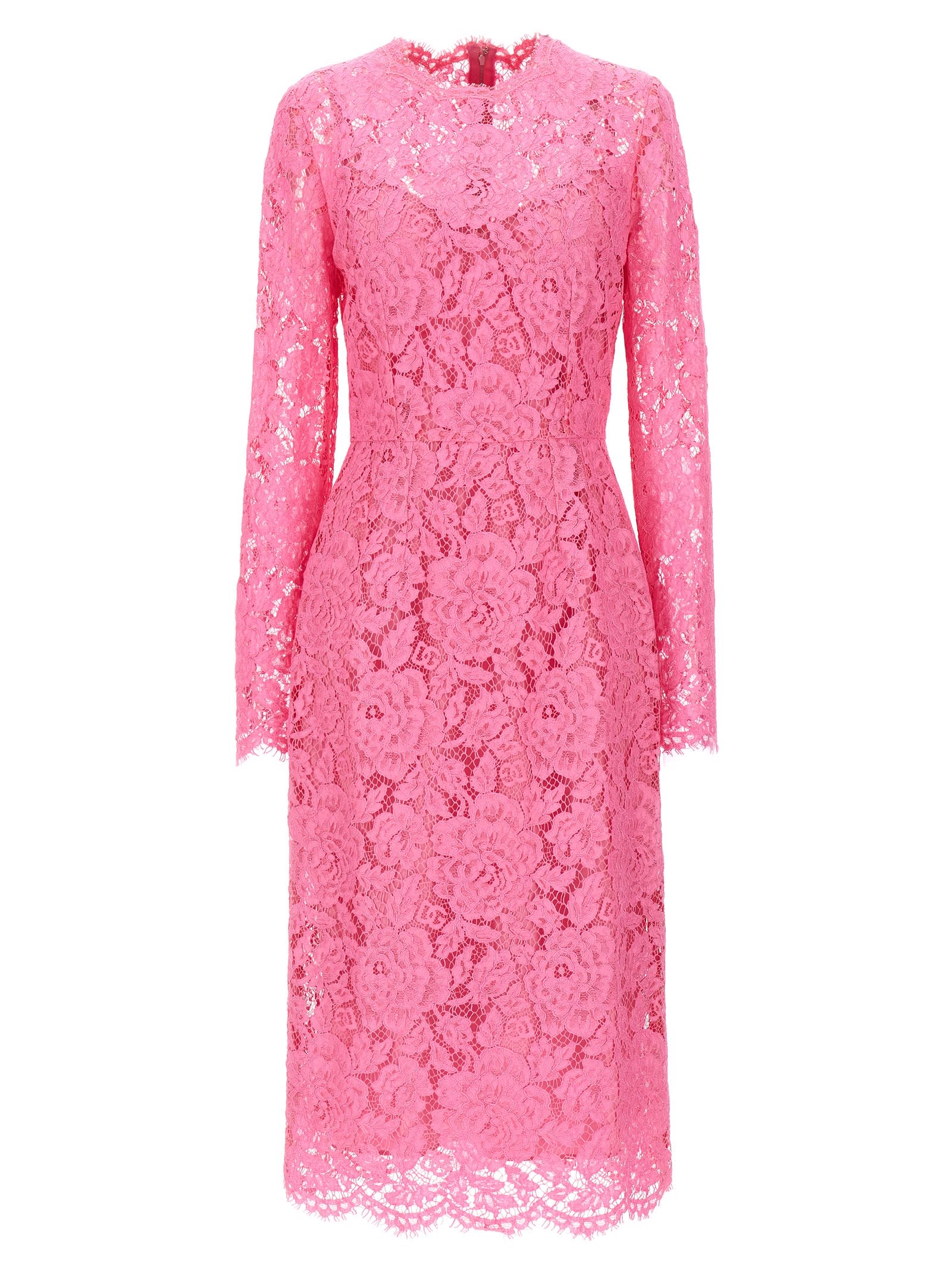 Shop Dolce & Gabbana Lace Sheath Dress In Pink
