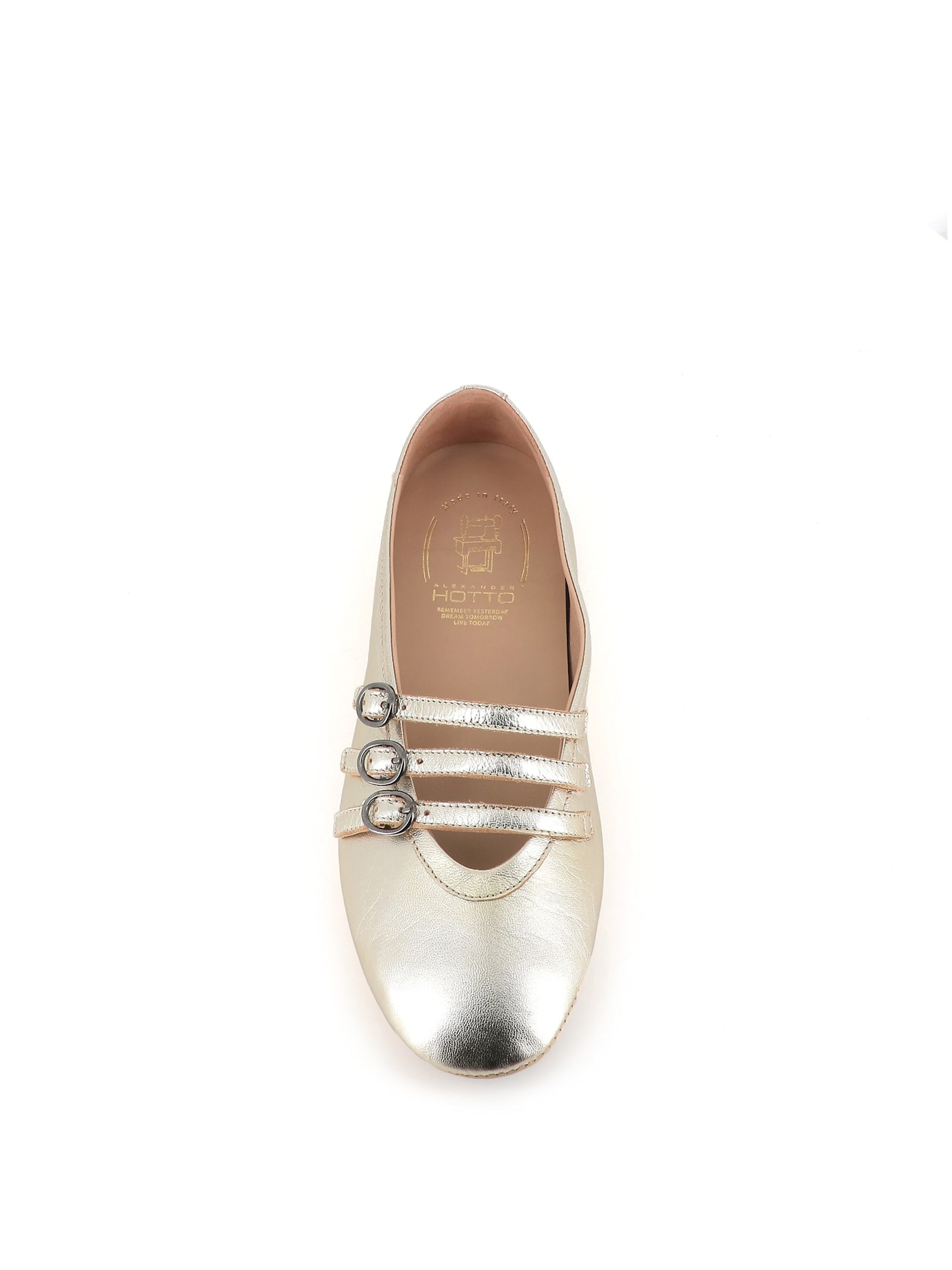 Alexander Hotto Metallic Leather Ballet Flats In Platinum