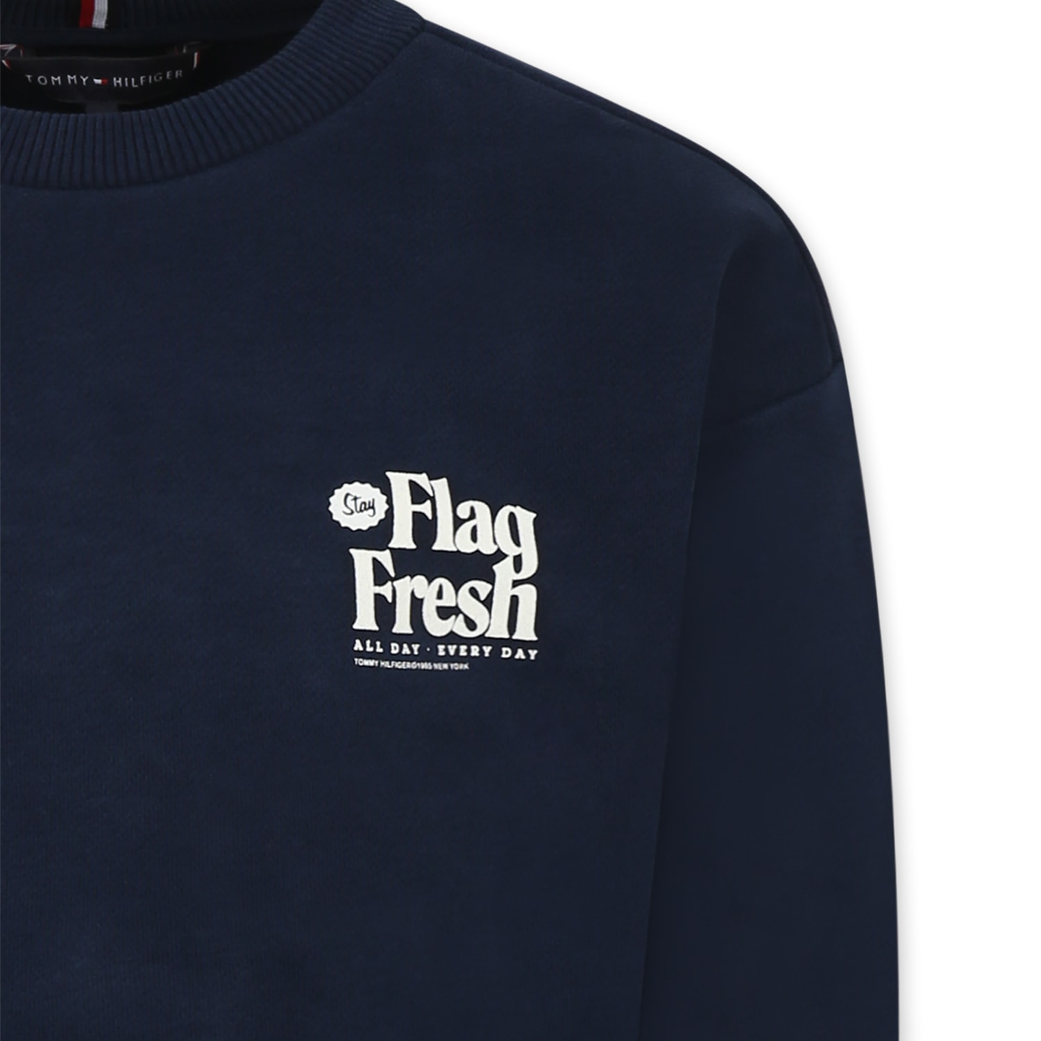 Tommy Hilfiger Blue Sweatshirt For Boy With Writing In Blue