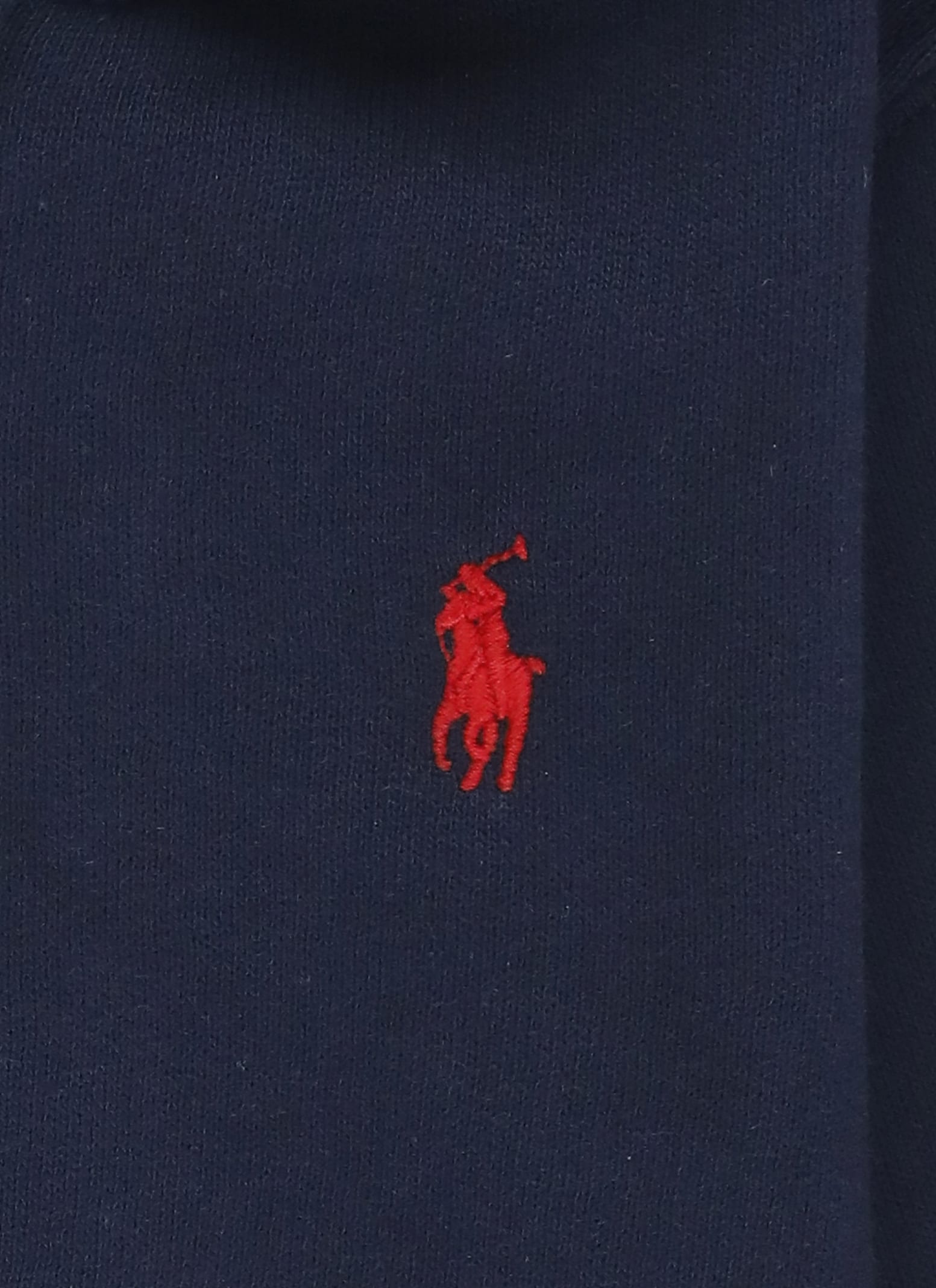 Ralph Lauren Hoodie With Pony In Blue