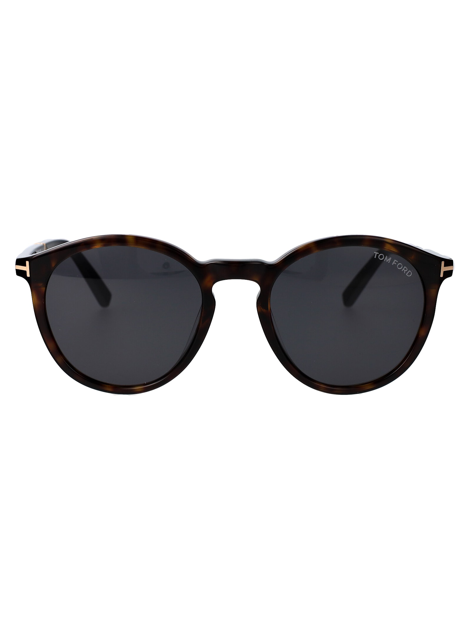 Tom Ford Elton Sunglasses In Black