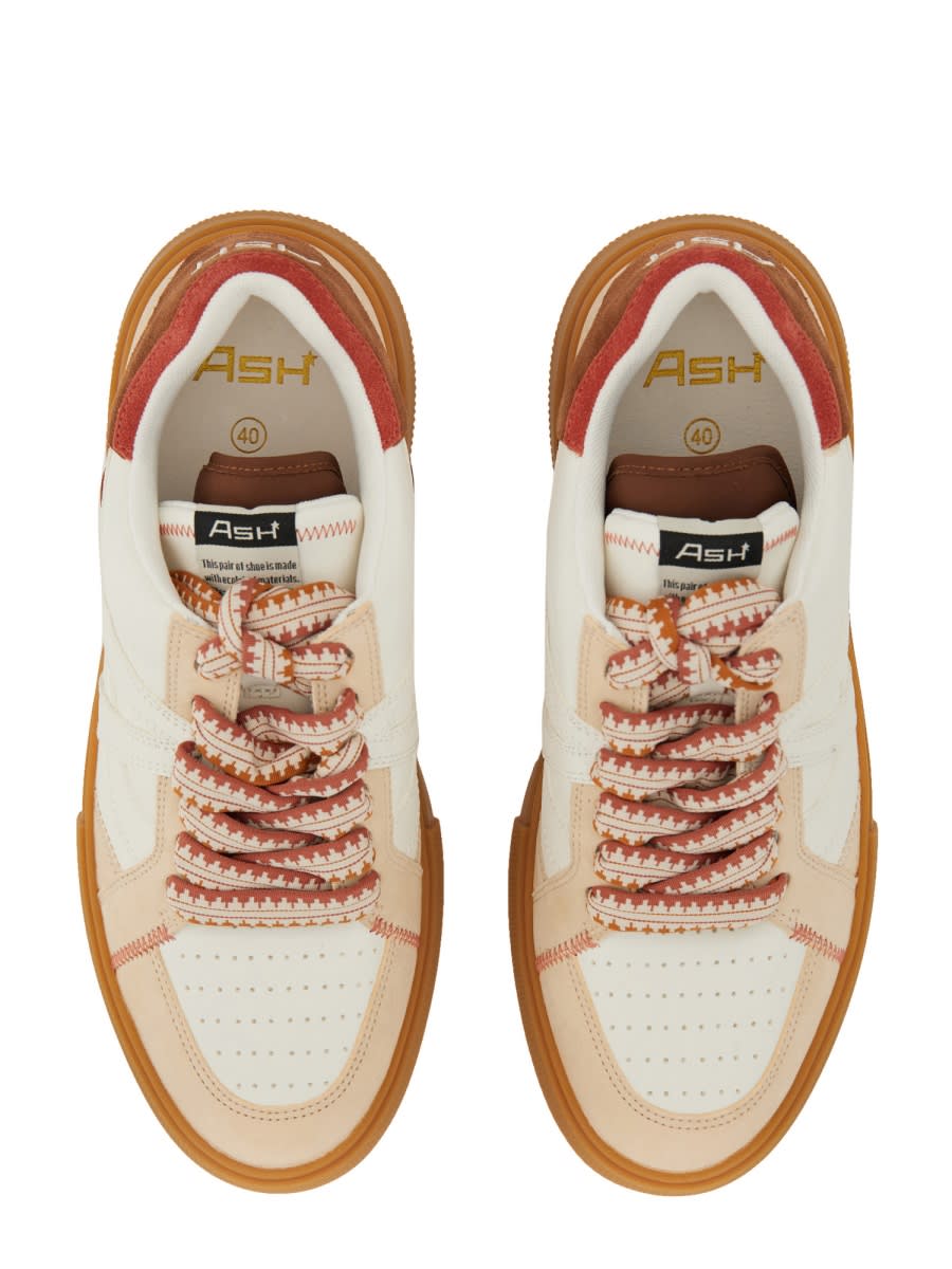 Shop Ash Sneaker With Logo In Multicolour