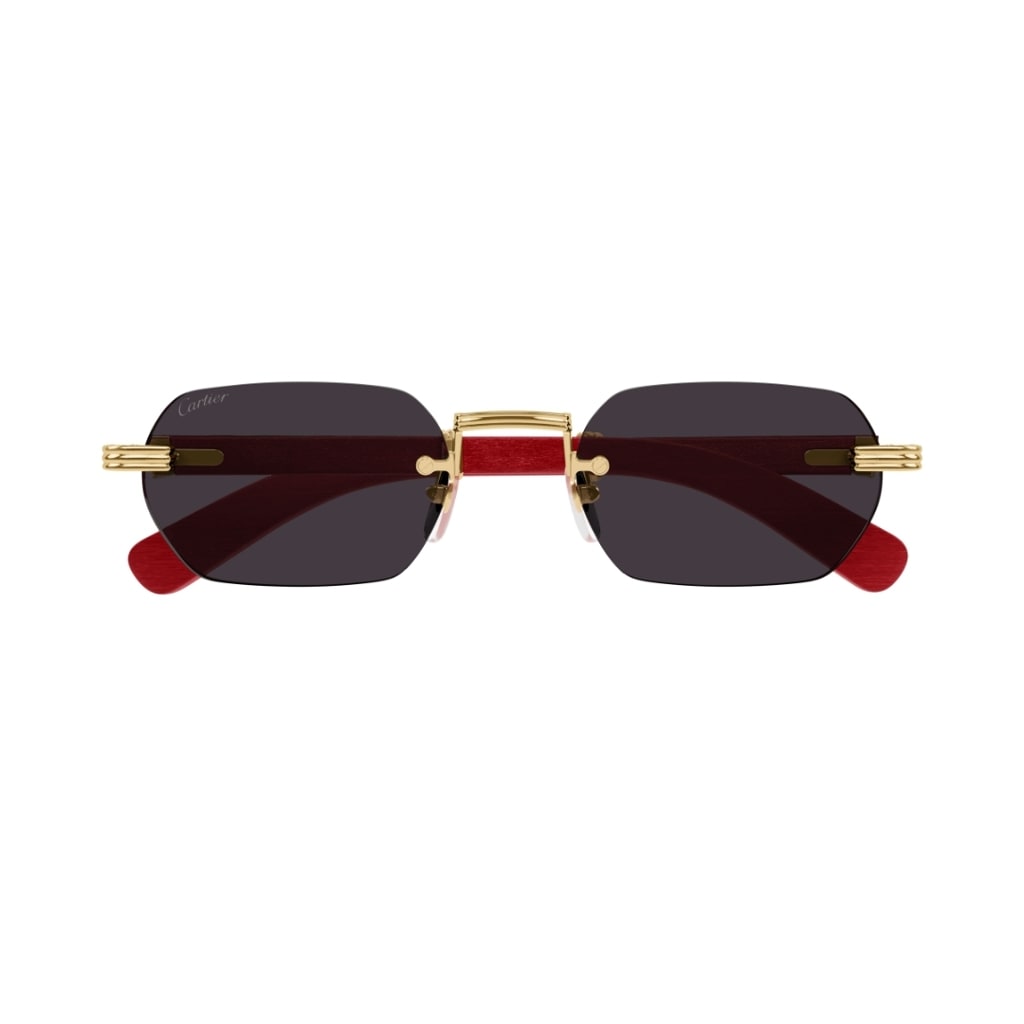 Cartier Eyewear CT0362S 004 Sunglasses