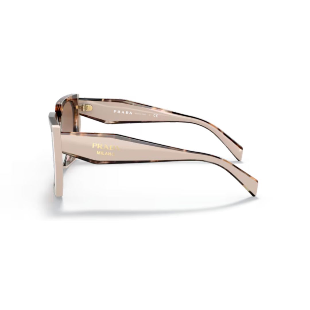 Prada Brown Cat Eye Ladies Sunglasses Pr 15wsf 01r0a6 55 In Brown