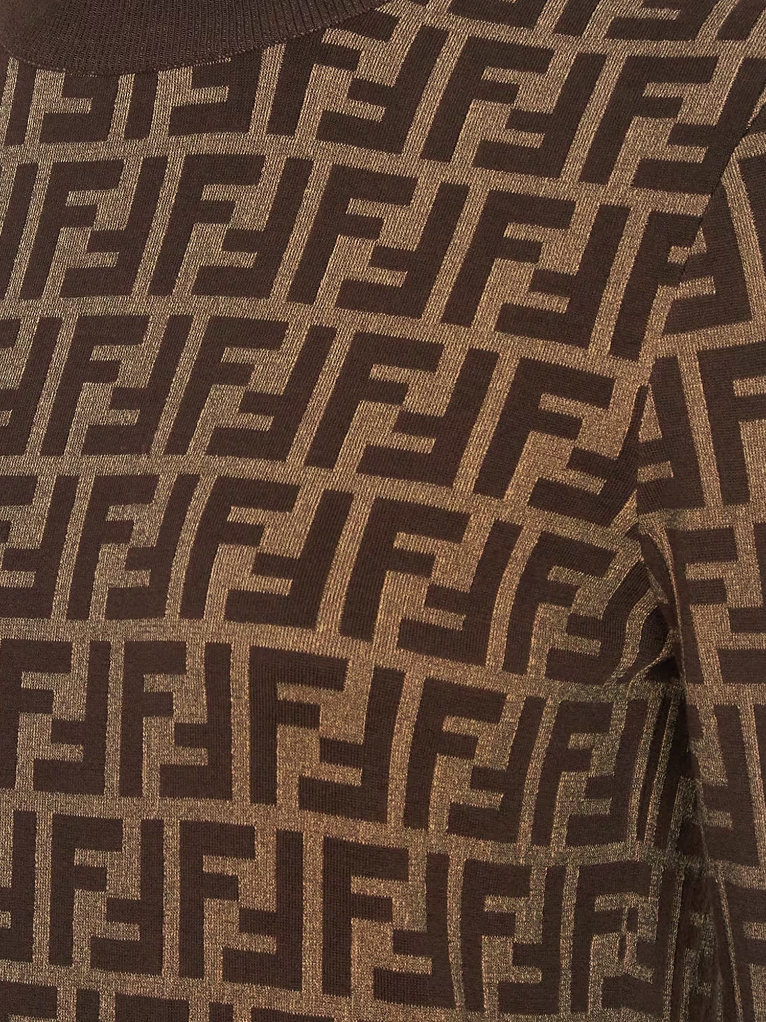 Shop Fendi Sweater In Brown