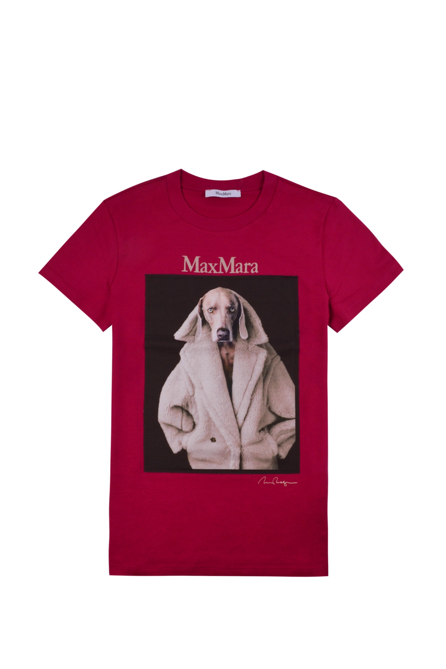 Max Mara T-shirt Dogstar In Viola | ModeSens