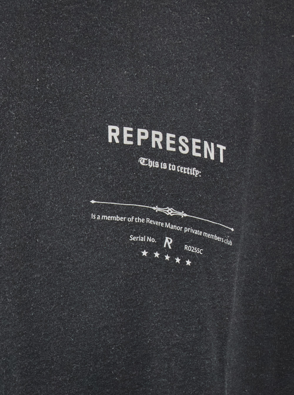 Represent Revere Manor Black T-shirt With Logo Lettering On The Front And Maxi Print On The Rear In Cotton Jer In Gray