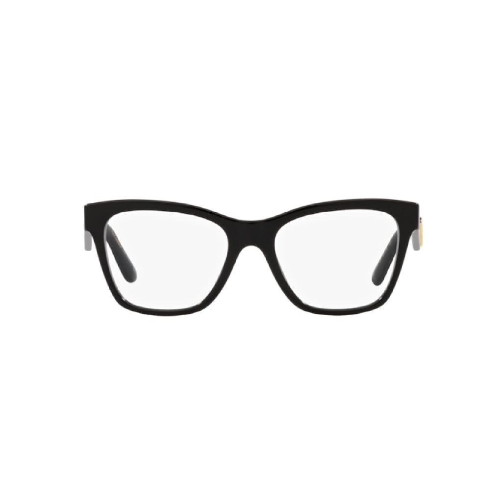 DG3374-501 Glasses