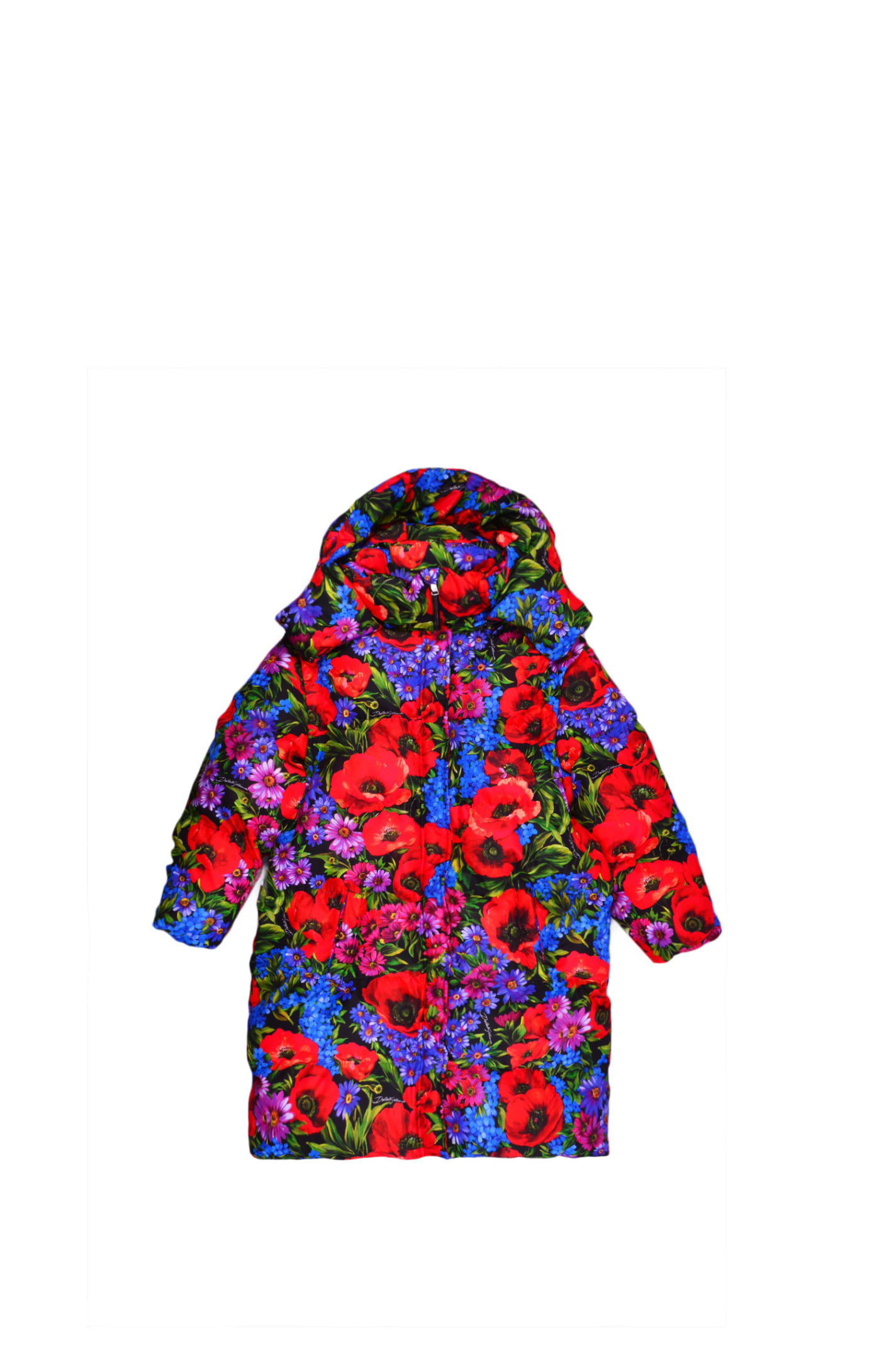 Dolce & Gabbana Long Down Jacket With Print