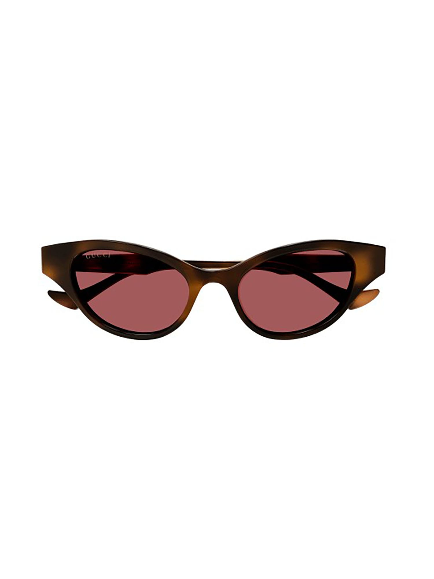 Shop Gucci Gg1298s Sunglasses In Havana-havana-brown