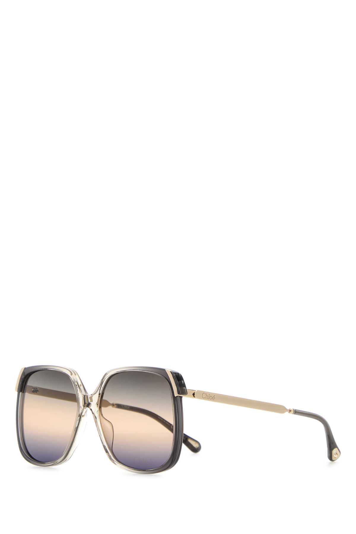 Chloé Printed Acetate And Metal Aly Sunglasses