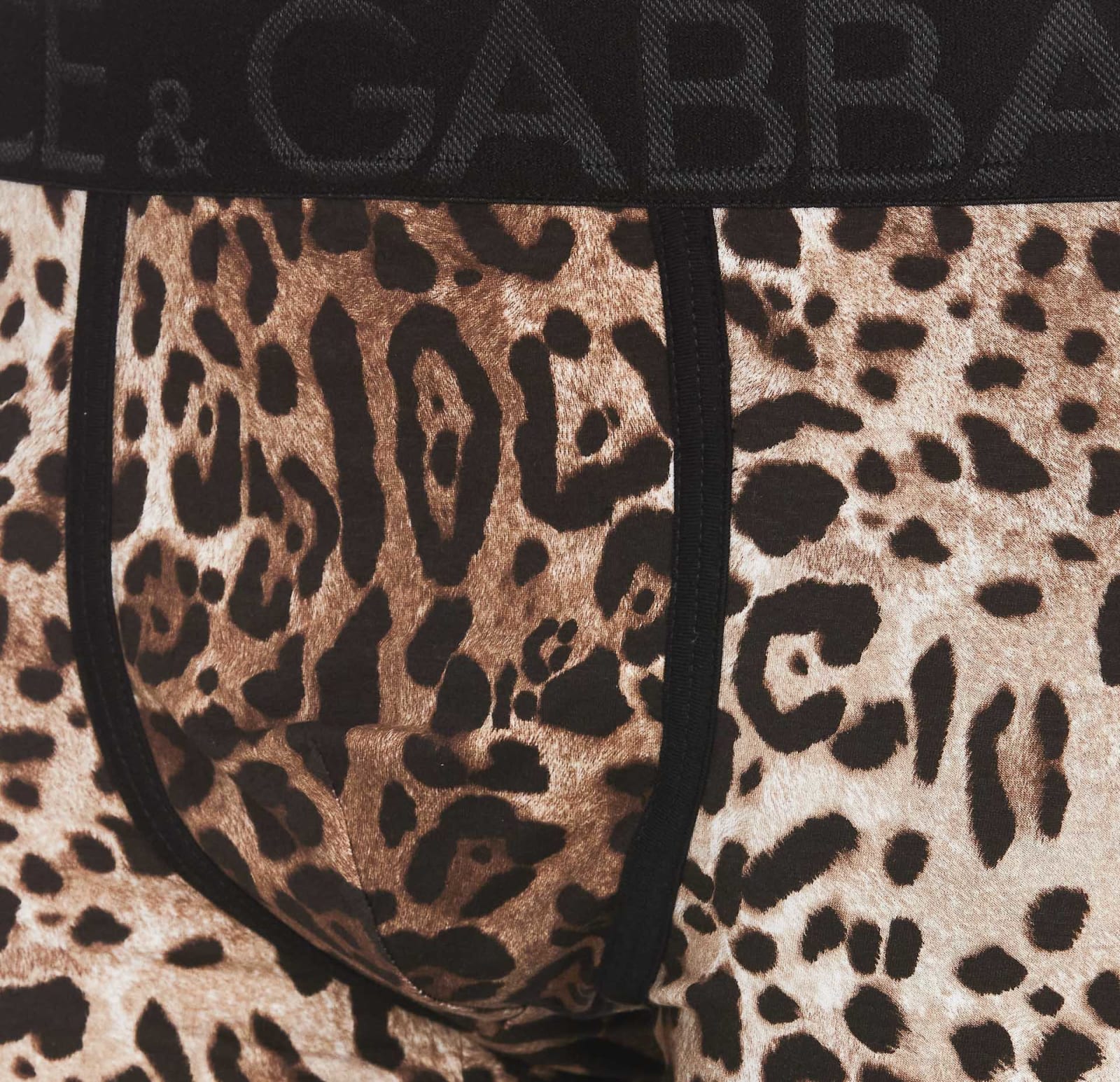 Shop Dolce & Gabbana Boxer Leo Print In Brown/neutrals
