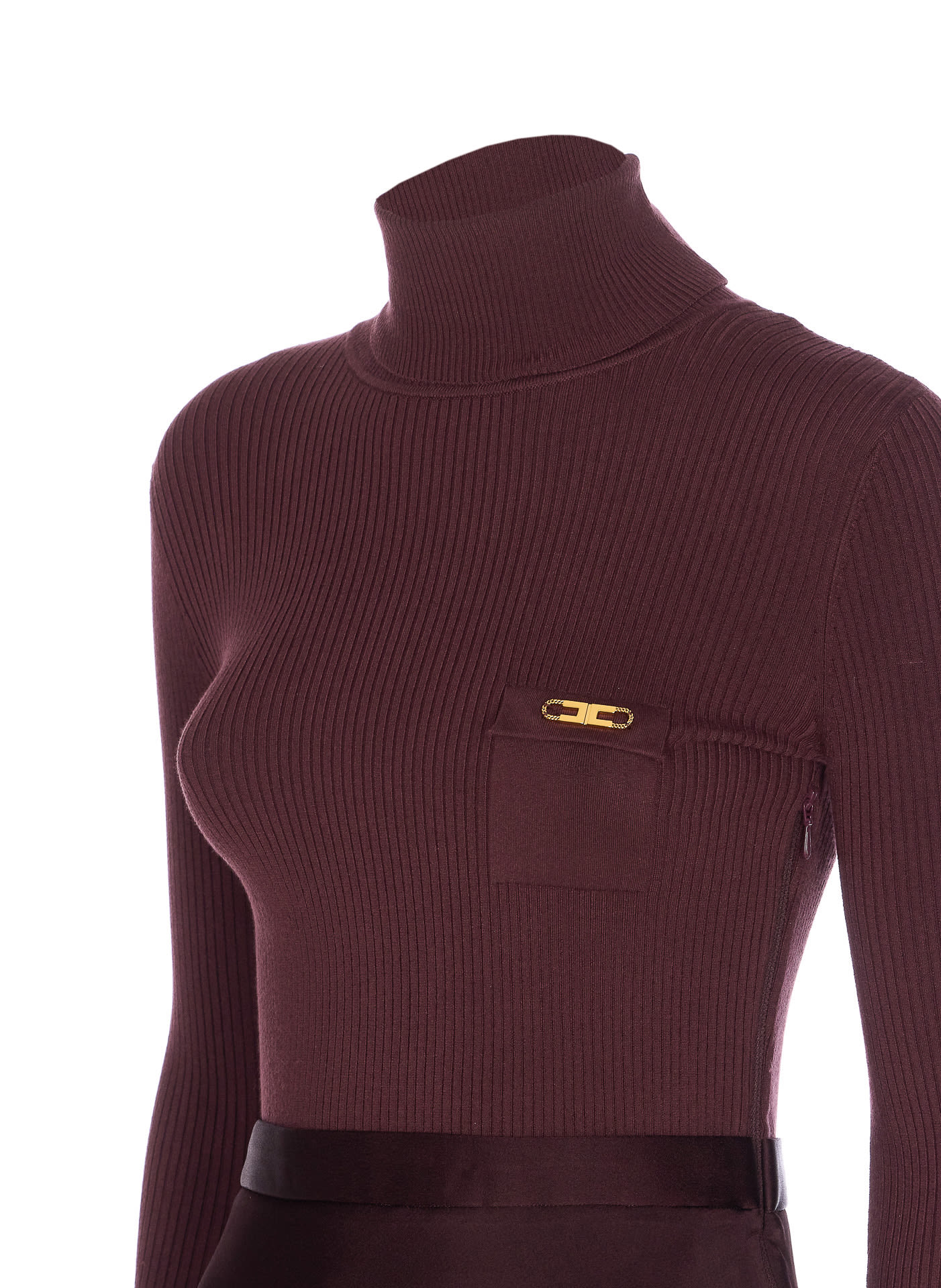 Elisabetta Franchi Long Dress In Burgundy